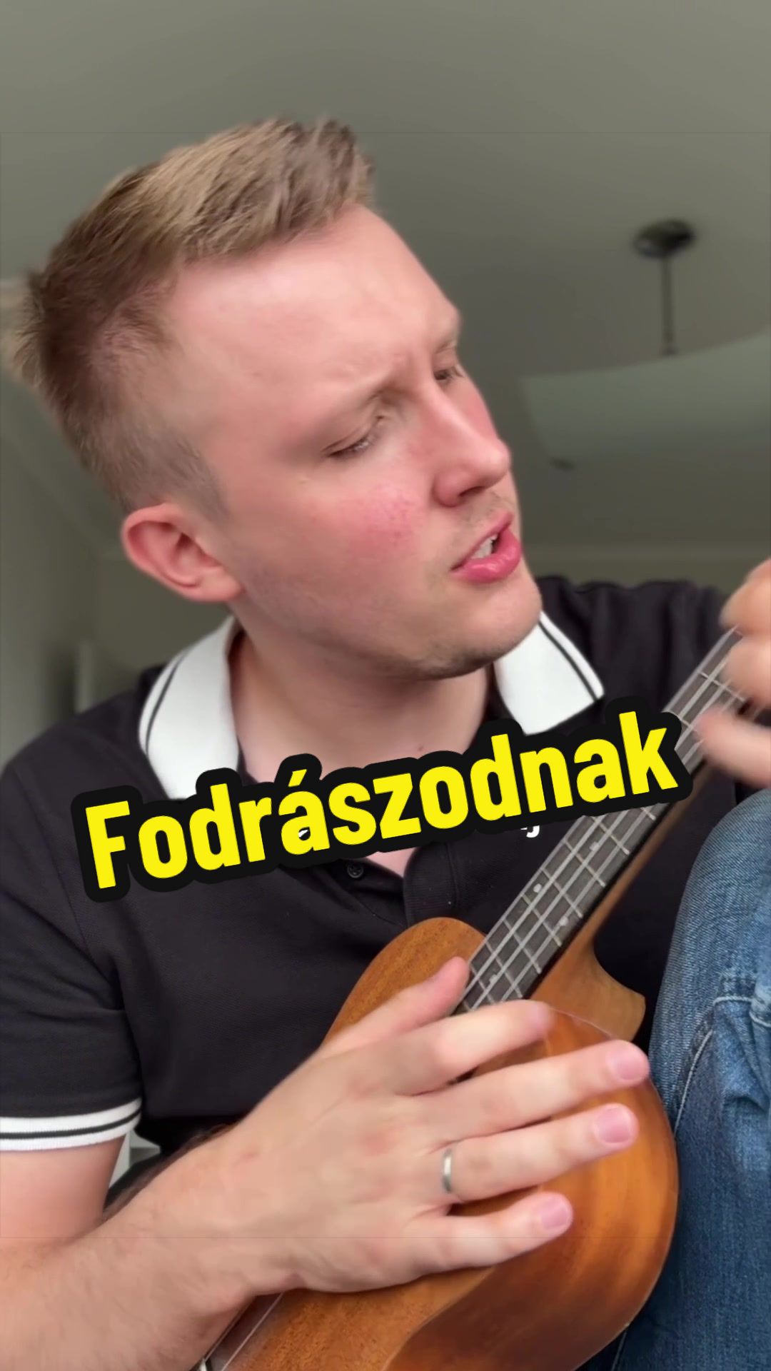 @Pál Péter