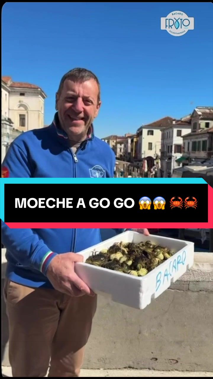 @BacaroFryto