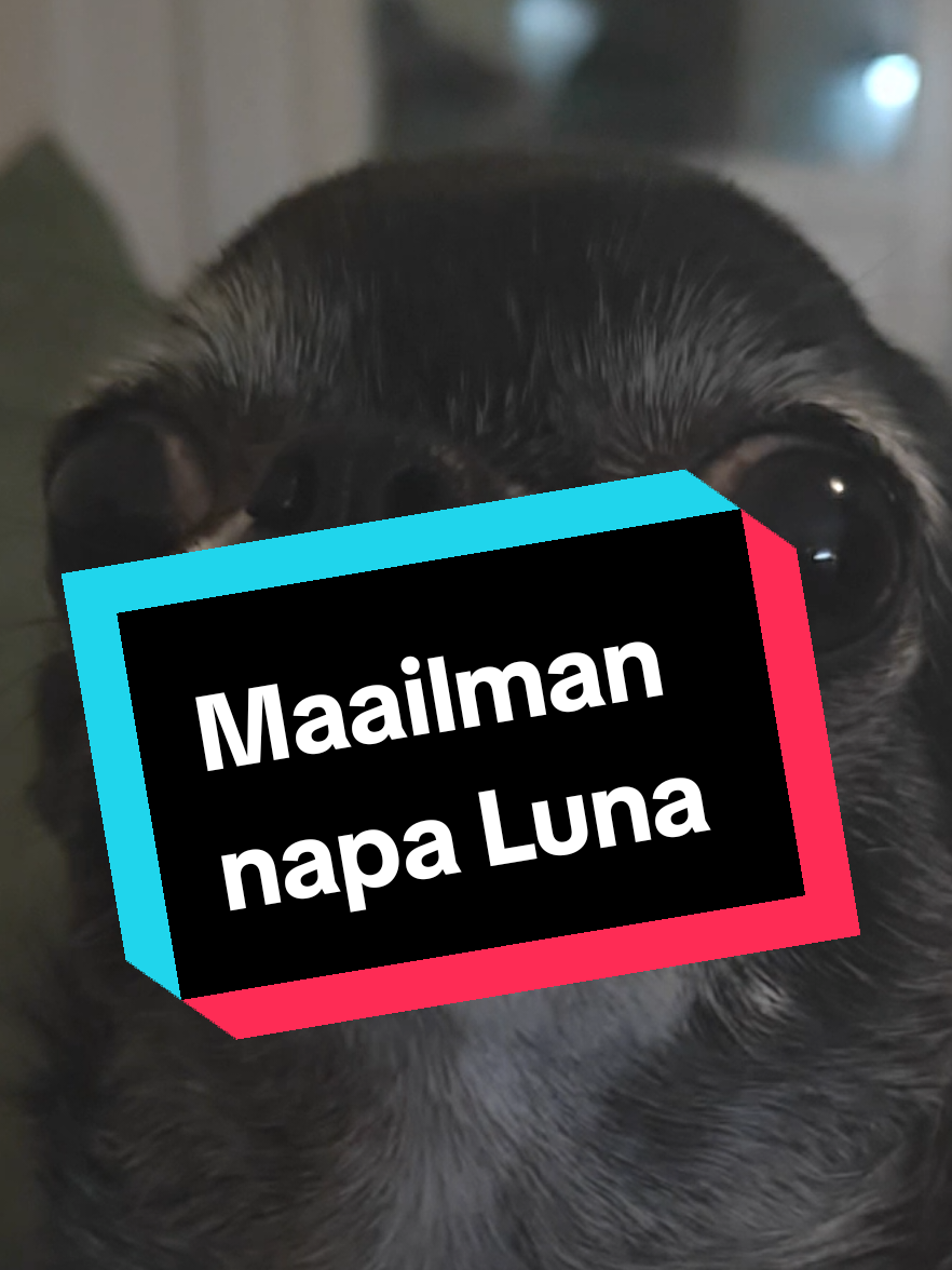 @💖💖maijumamma 2💖💖