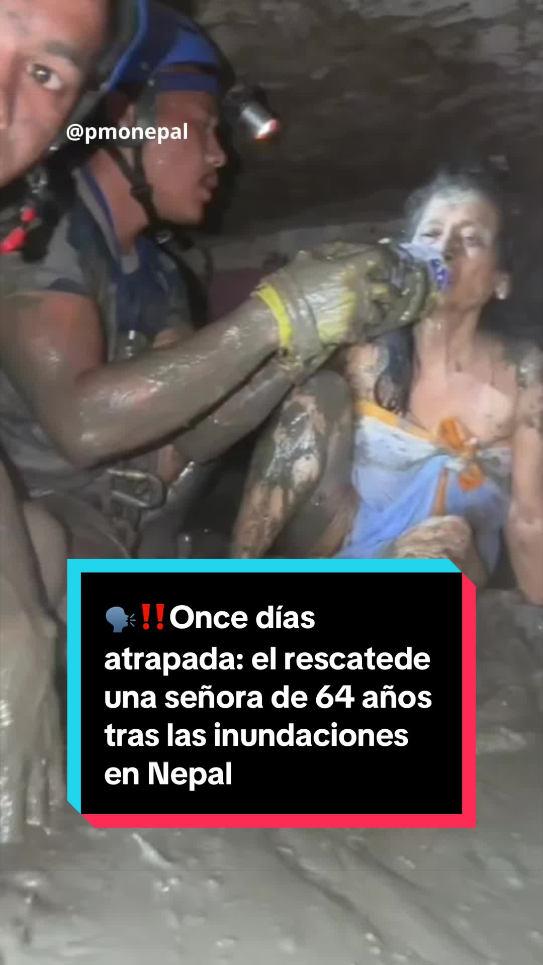 @EL ESPA&Ntilde;OL 🦁