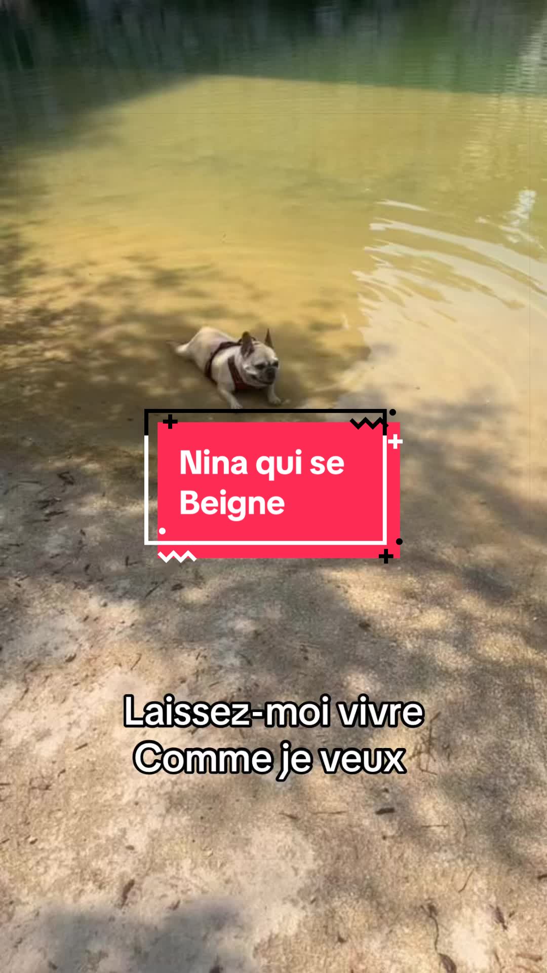 @les aventures de Nina