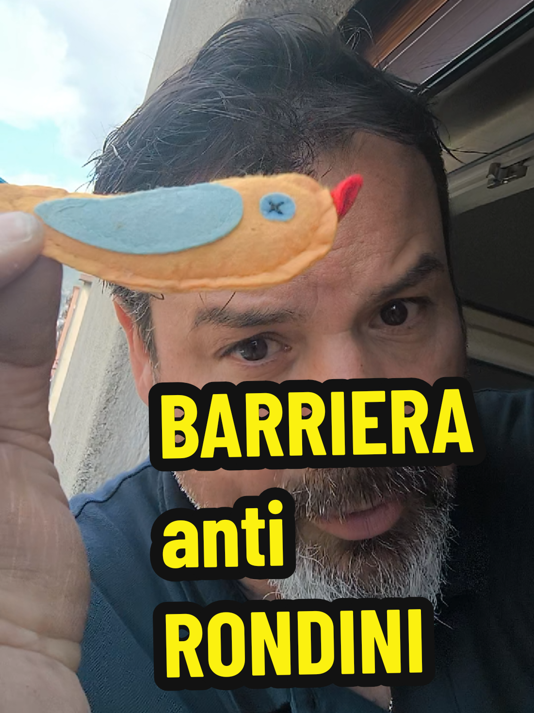 @Re delle ZANZARIERE &bull; Palermo