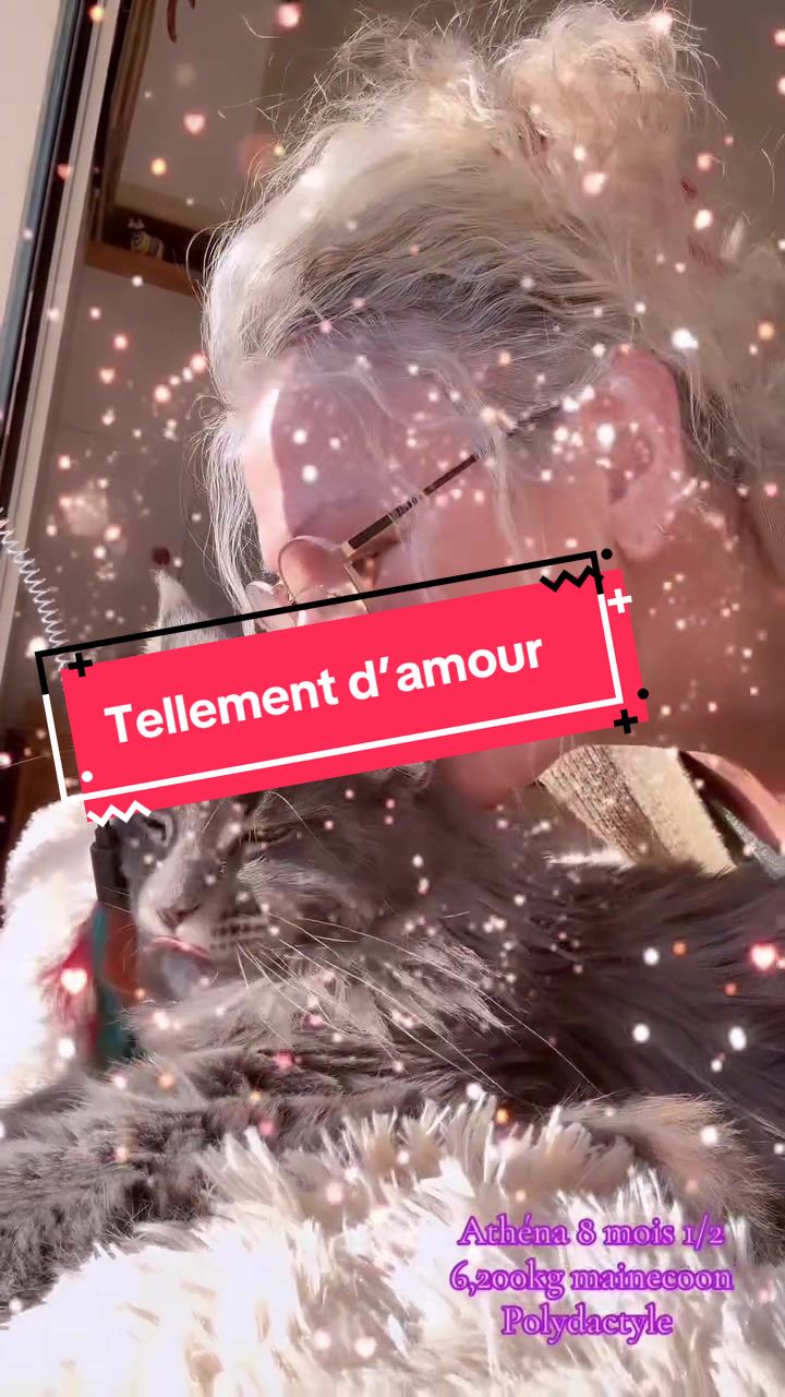@Isabelle Chiry Gauth