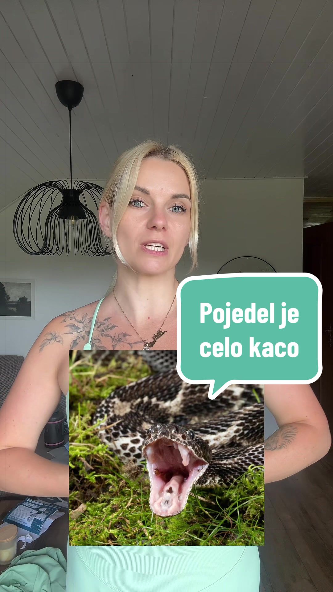 @Alenka Trogrlic