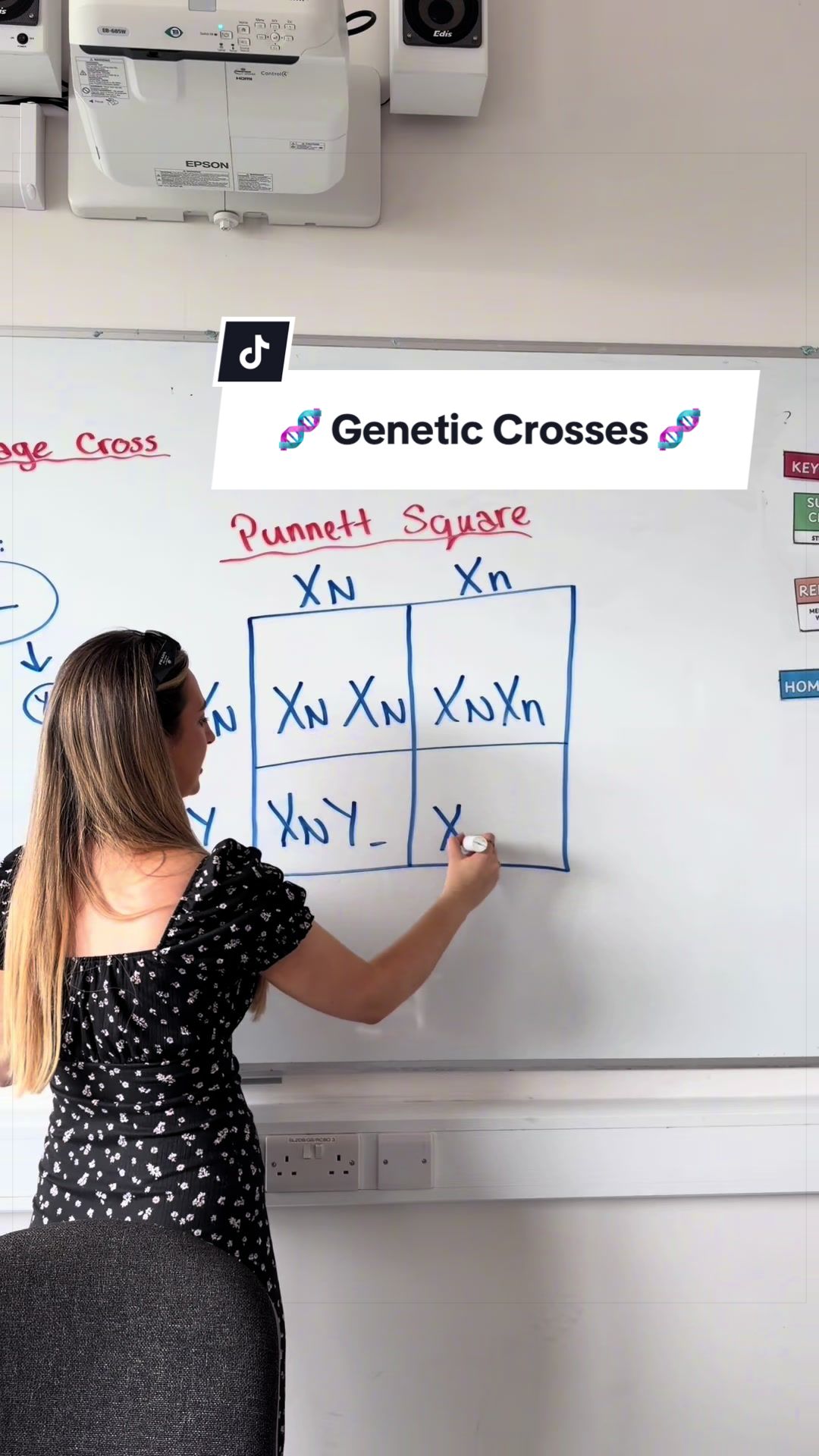 @Ms BioChem