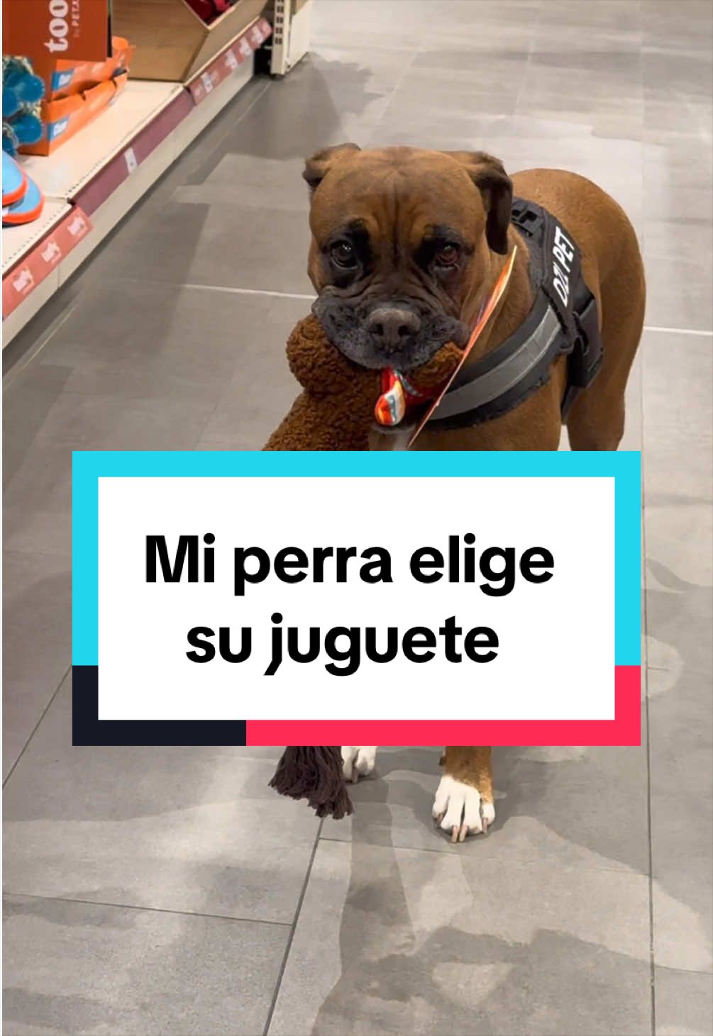 @Danny Leon