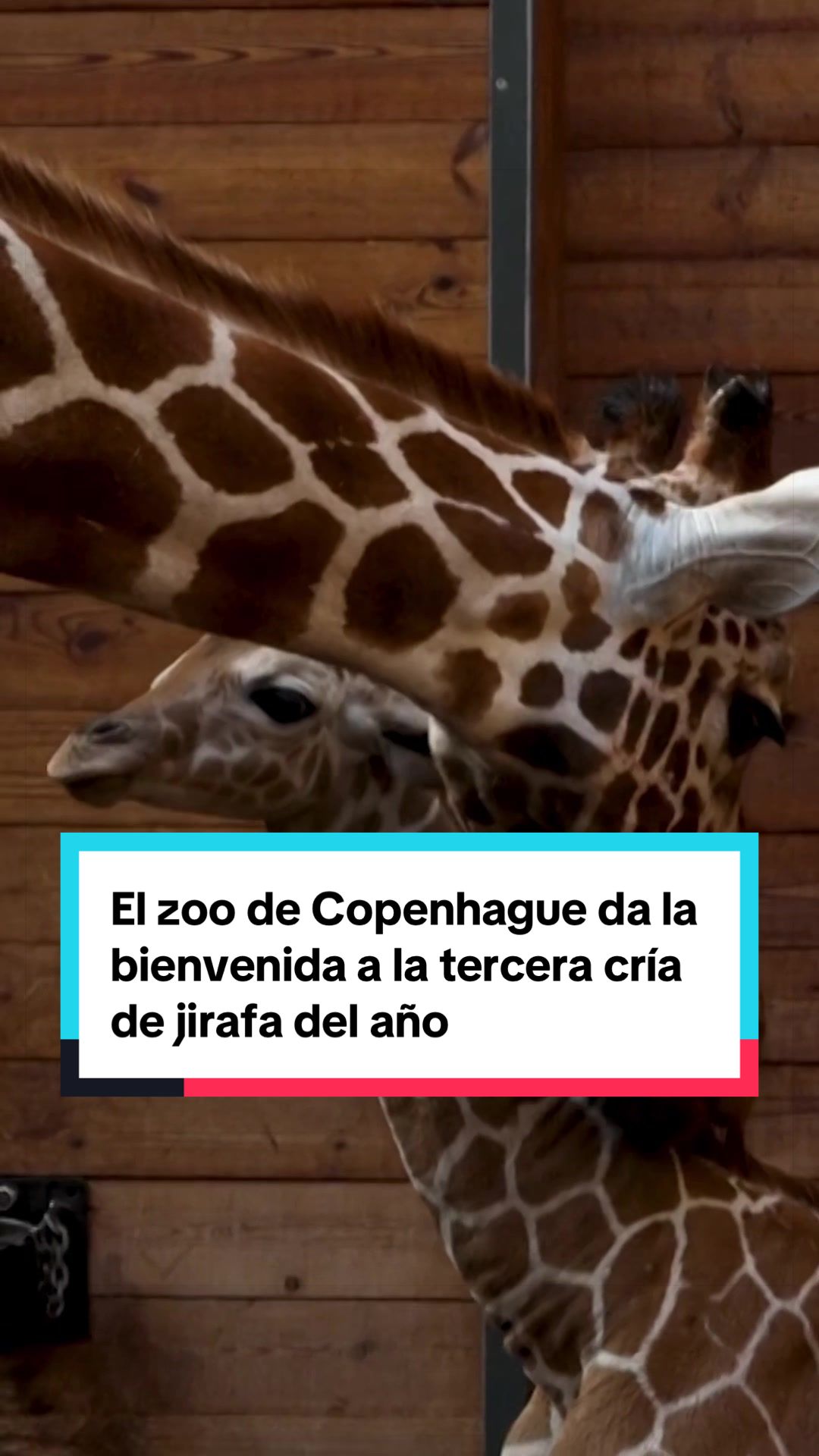 @El País