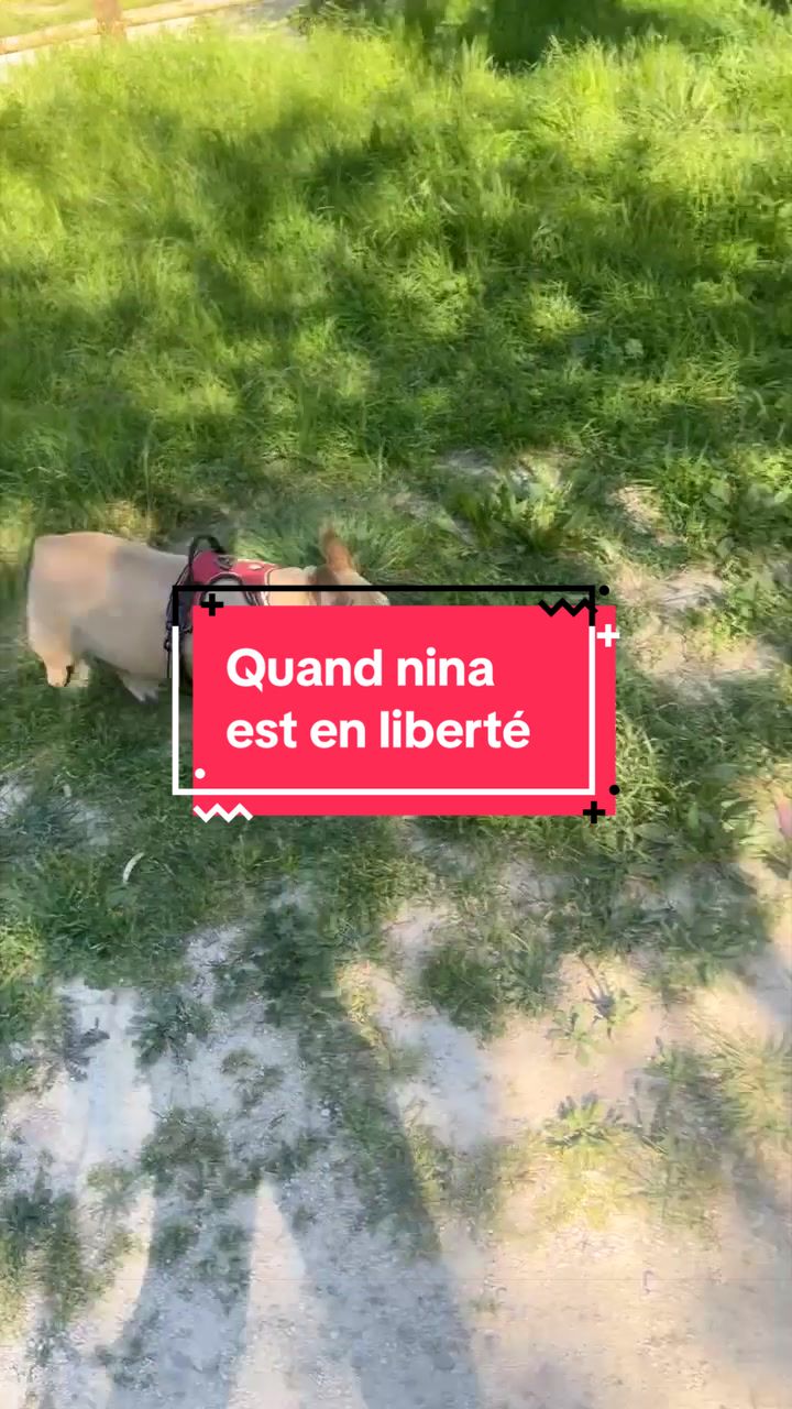@les aventures de Nina