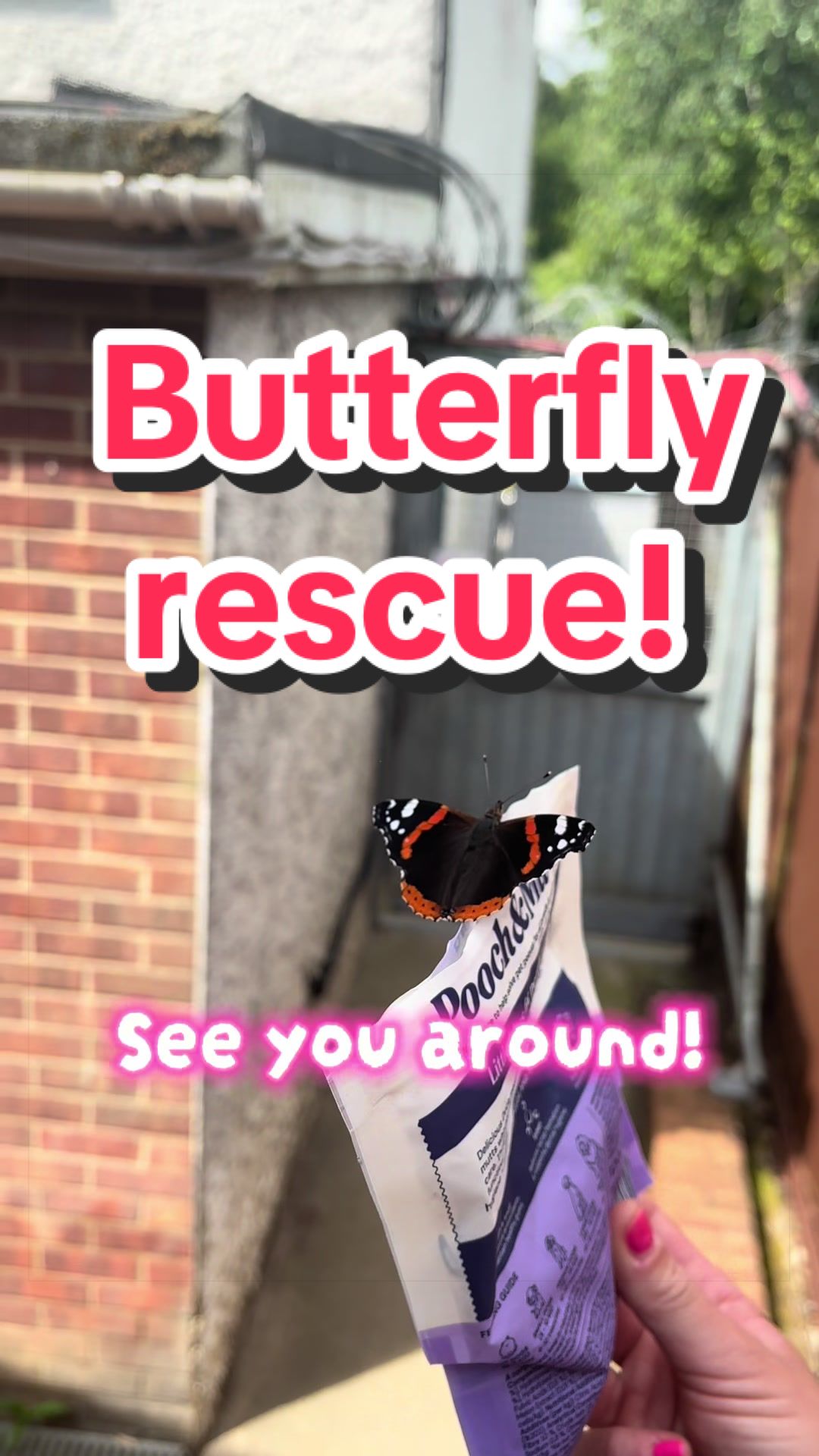 @RSPCA brighton
