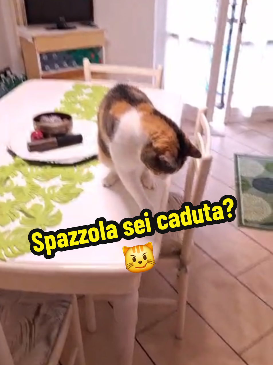 @Sissi&Mamy