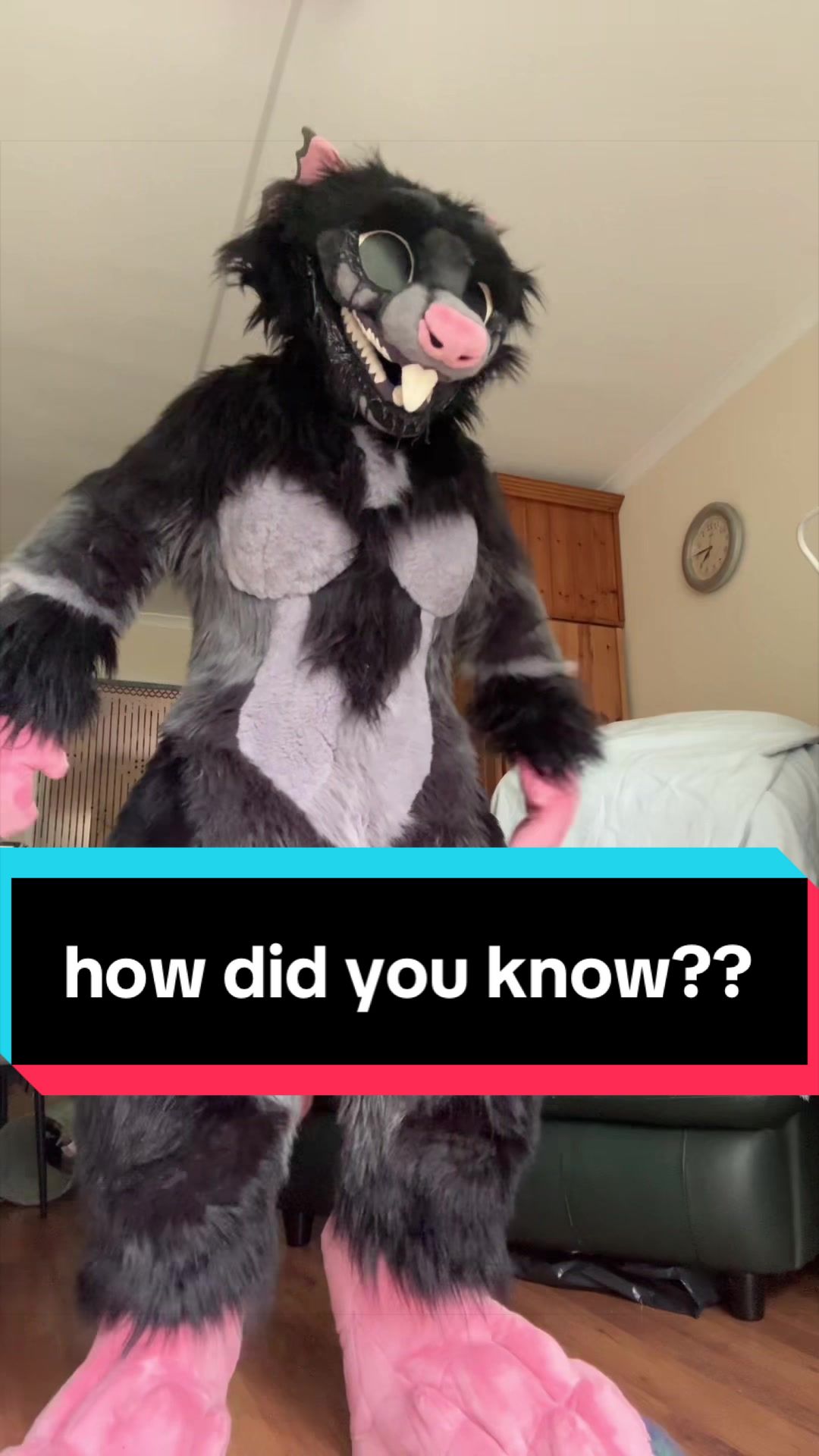 @Rayne (alyxamutt)