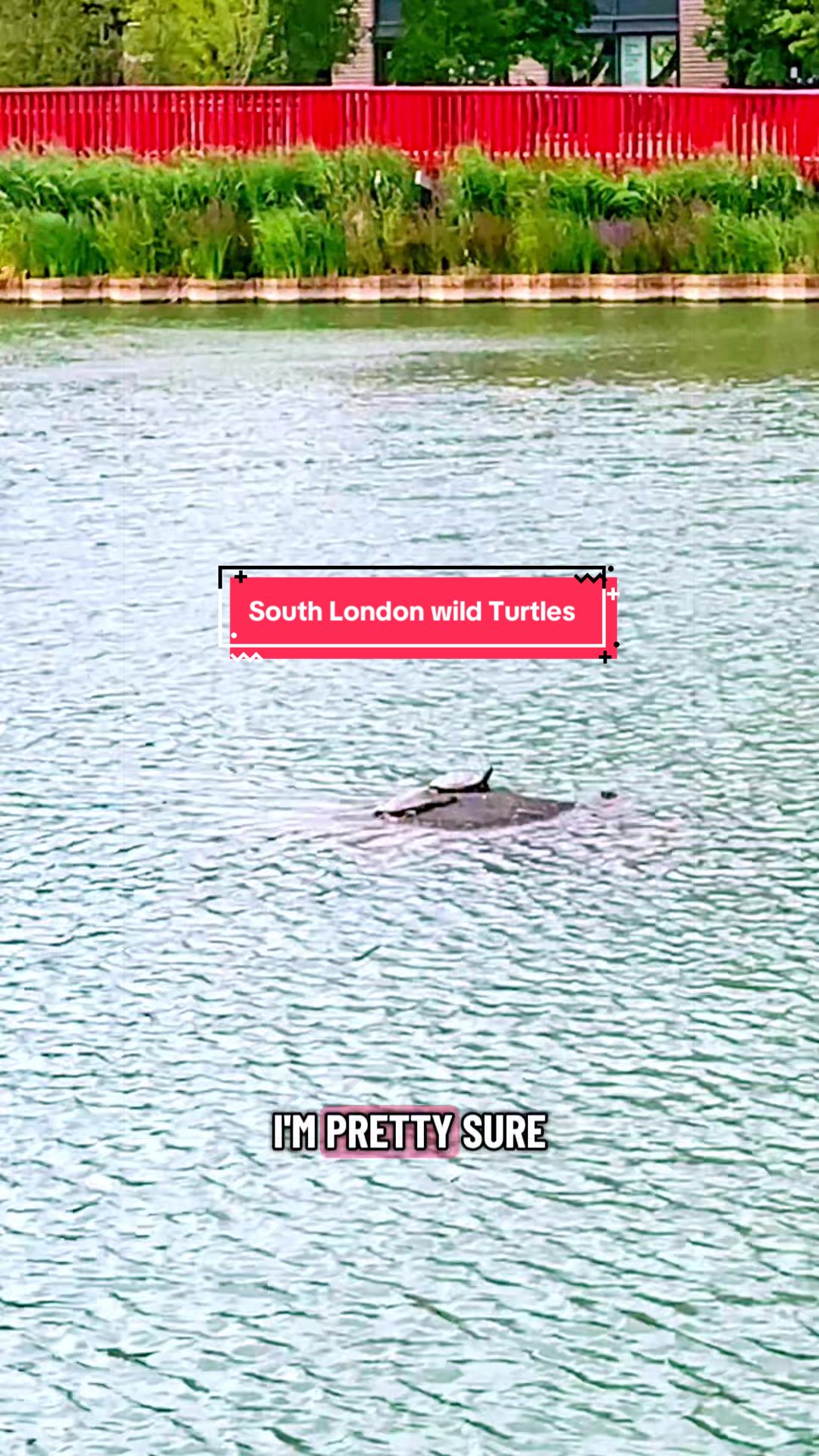 @LondonCityRoller