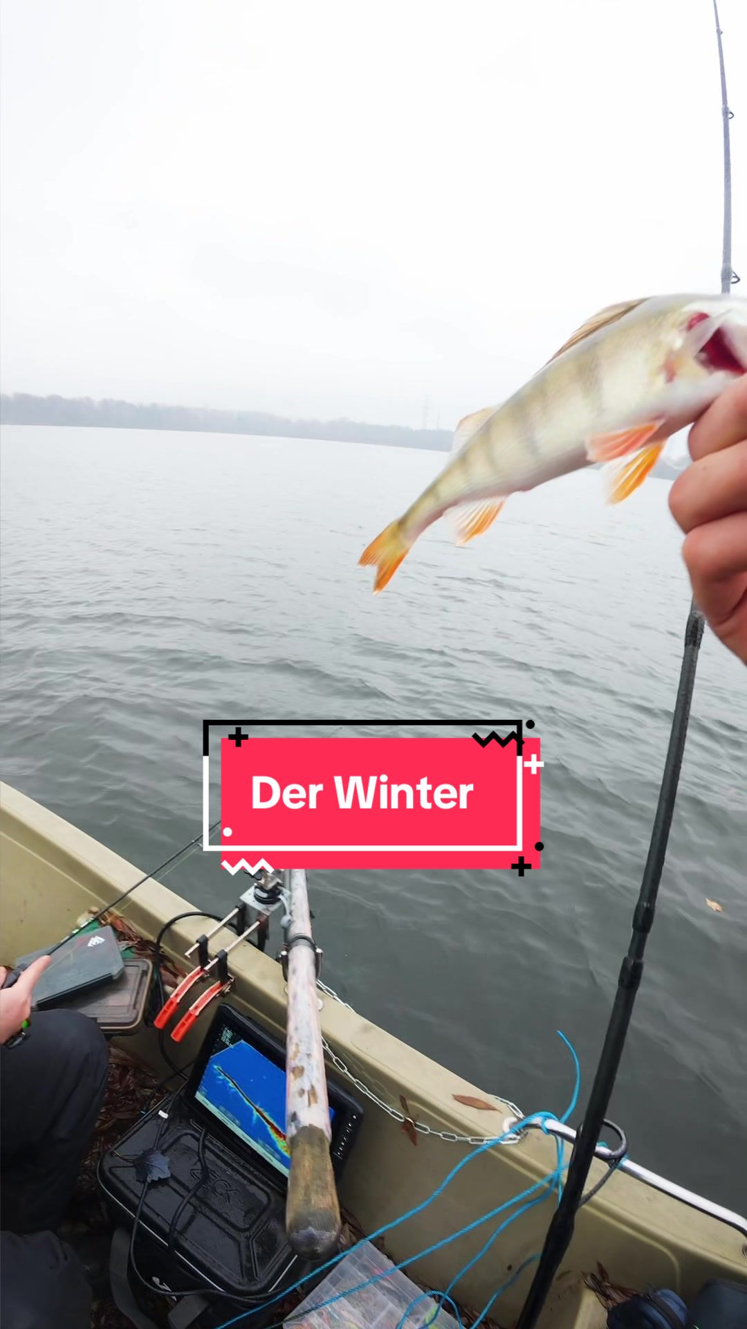 @Gian Fishing