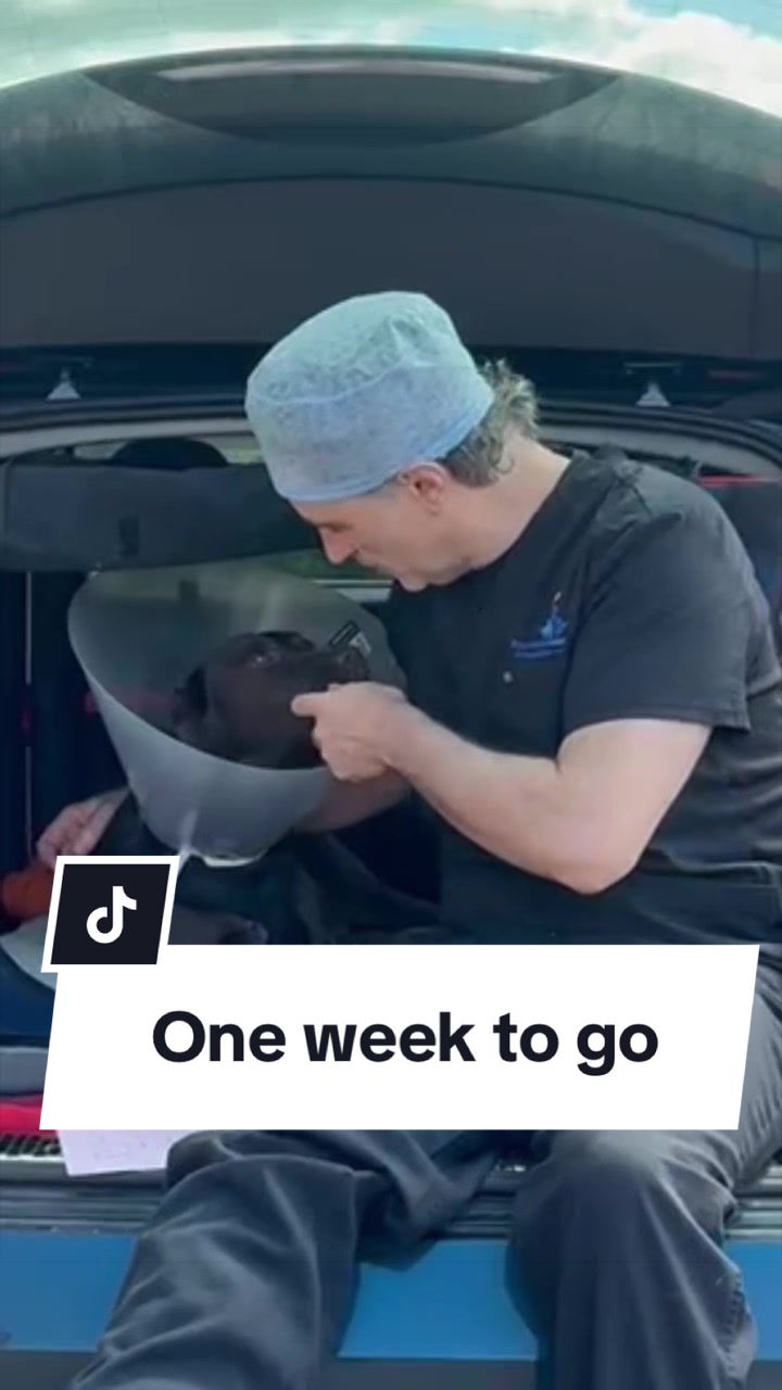 @profnoelfitzpatrick