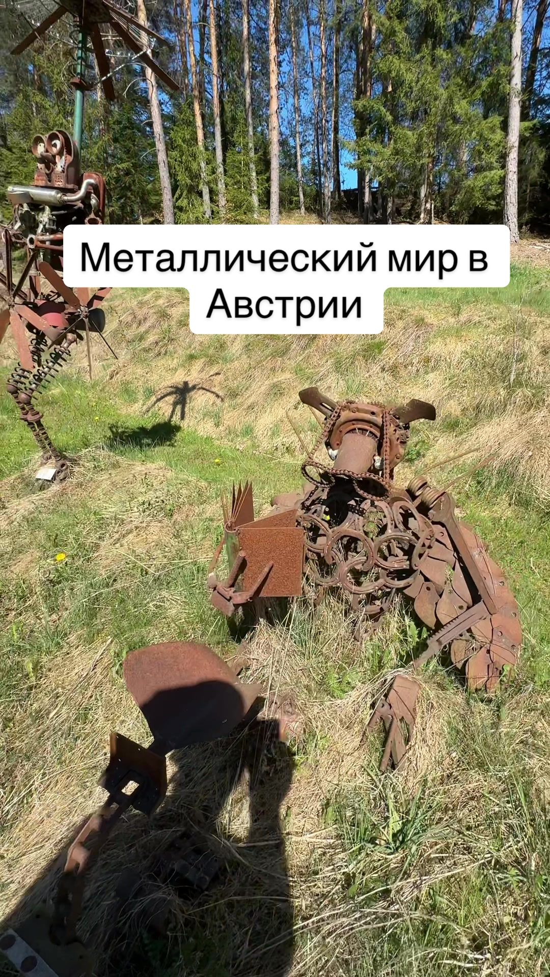@Жизнь в Австрии 🇦🇹 | MRPL