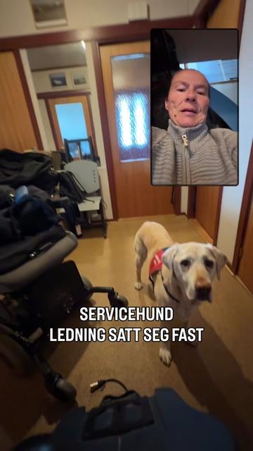 @MyHippiDog & Liv Tone 🇳🇴