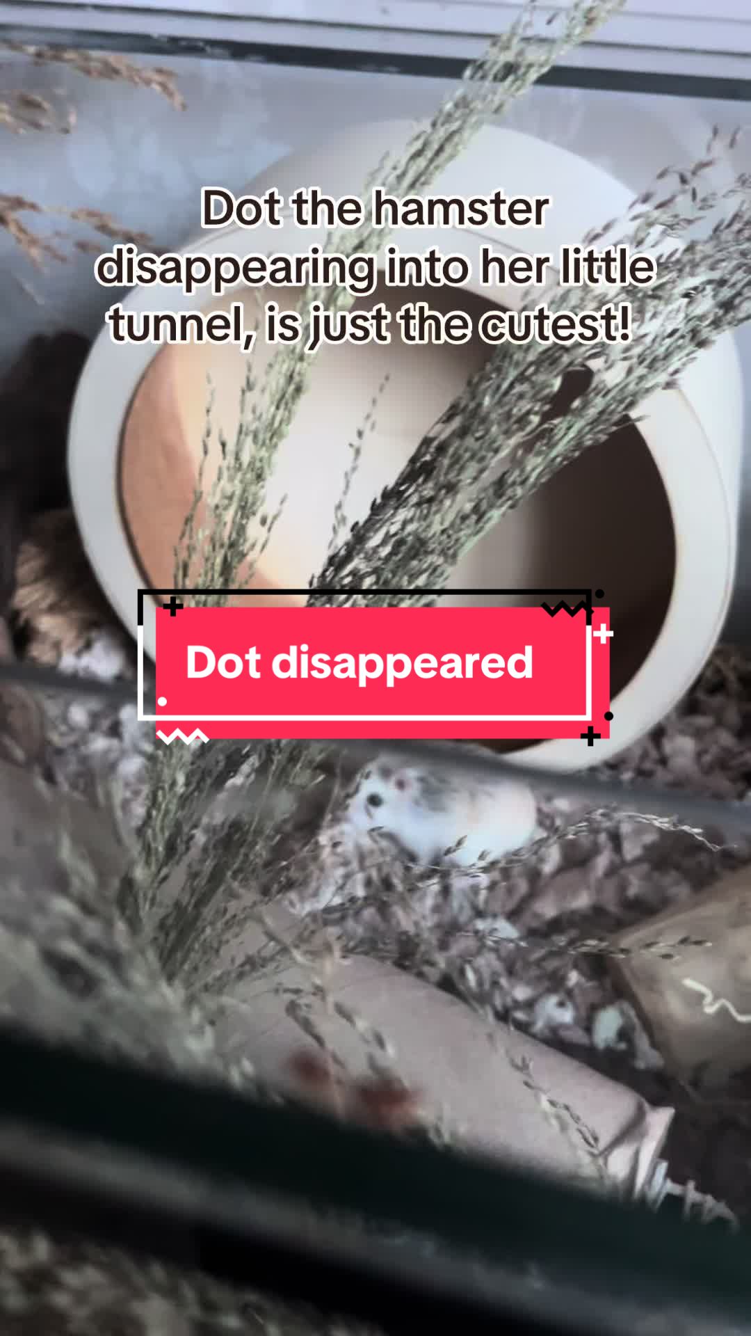 @The land of Dot