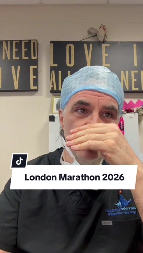 @profnoelfitzpatrick