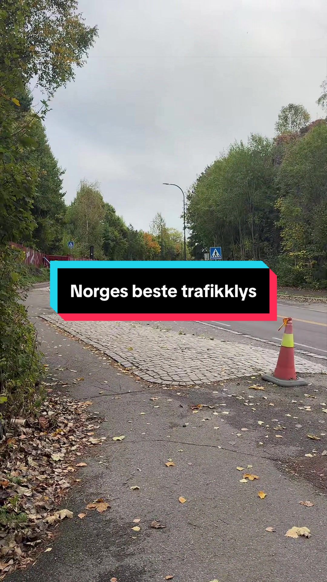 @MankeGard