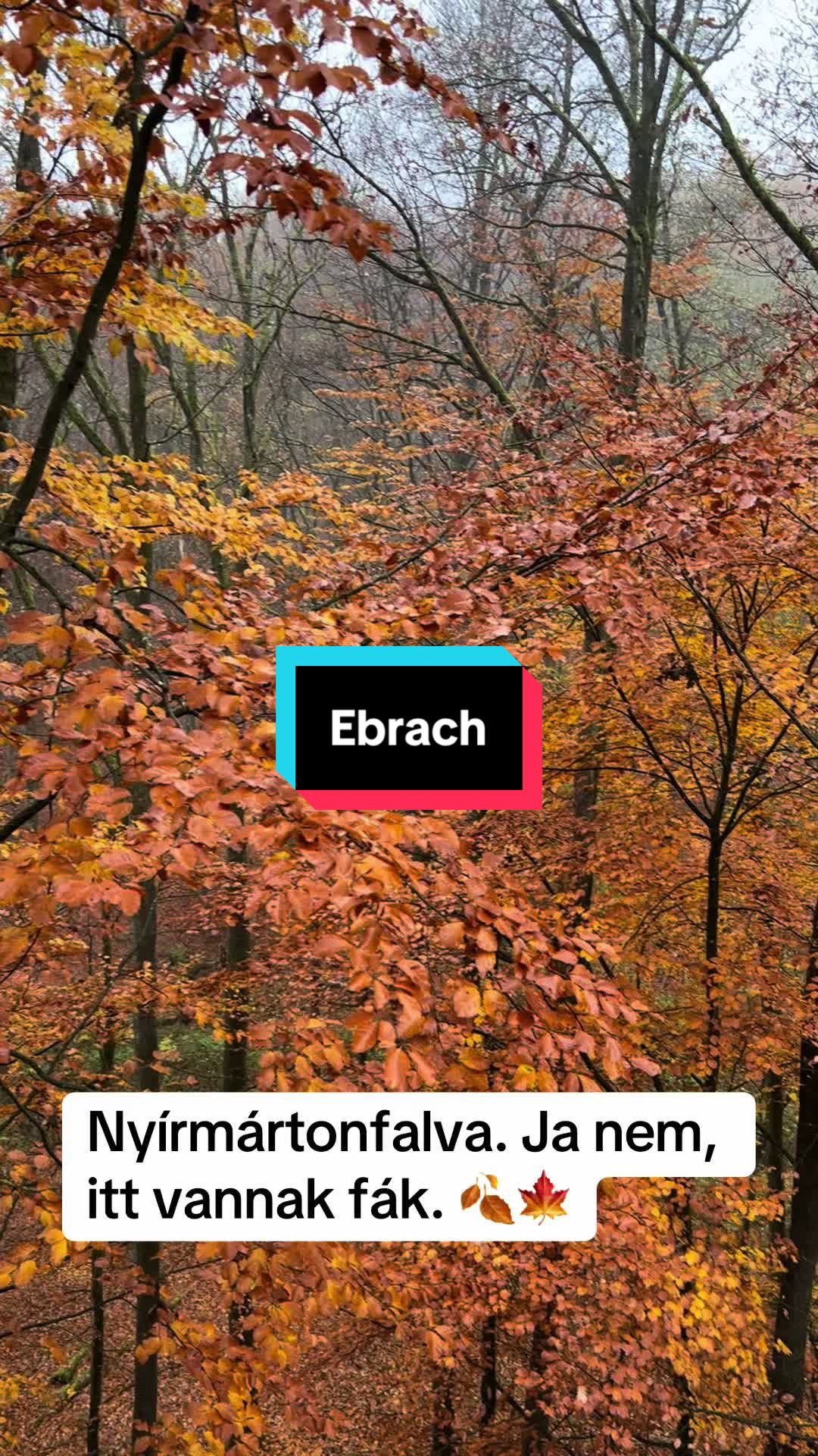 @CreatorHub
