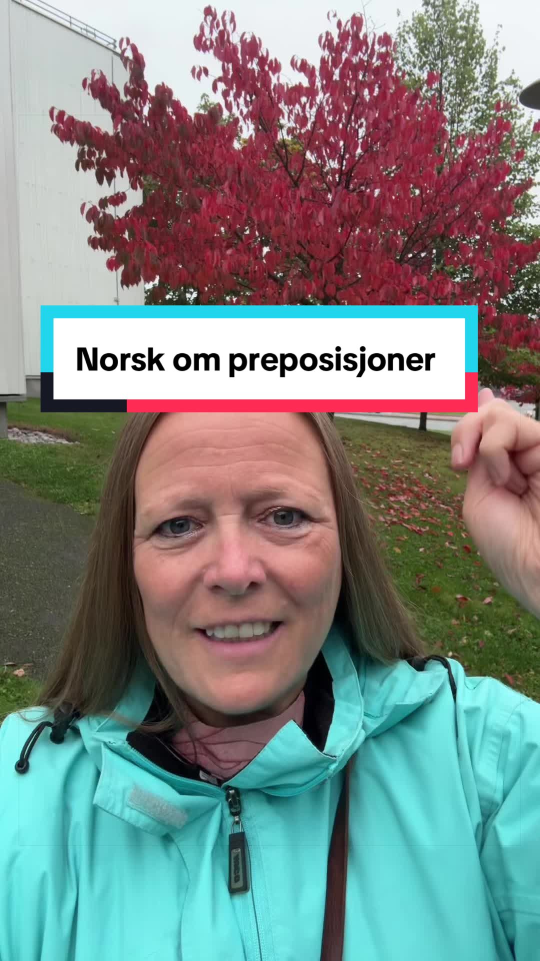 @Hilde Elise