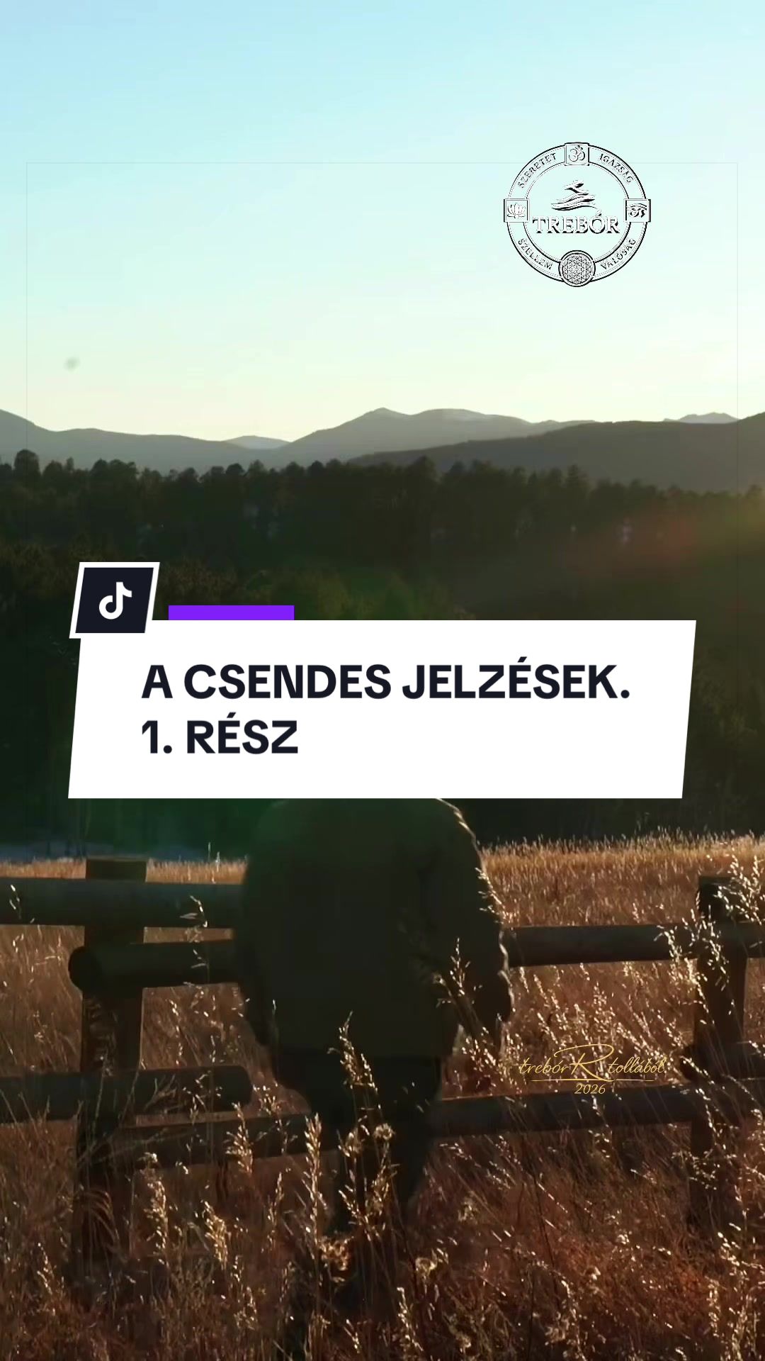 @Rajna Róbert • trebóR