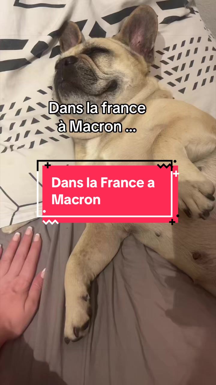 @les aventures de Nina