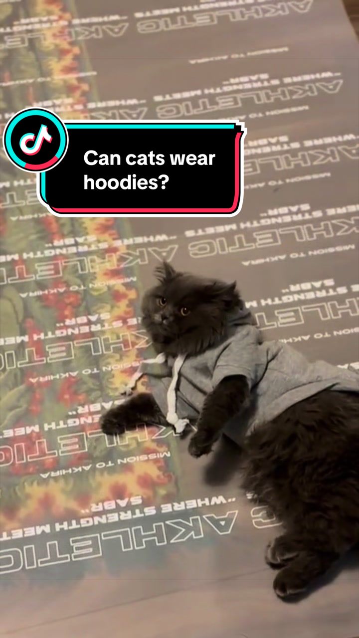 @๐ธ๐๐๐๐๐ฅ๐๐