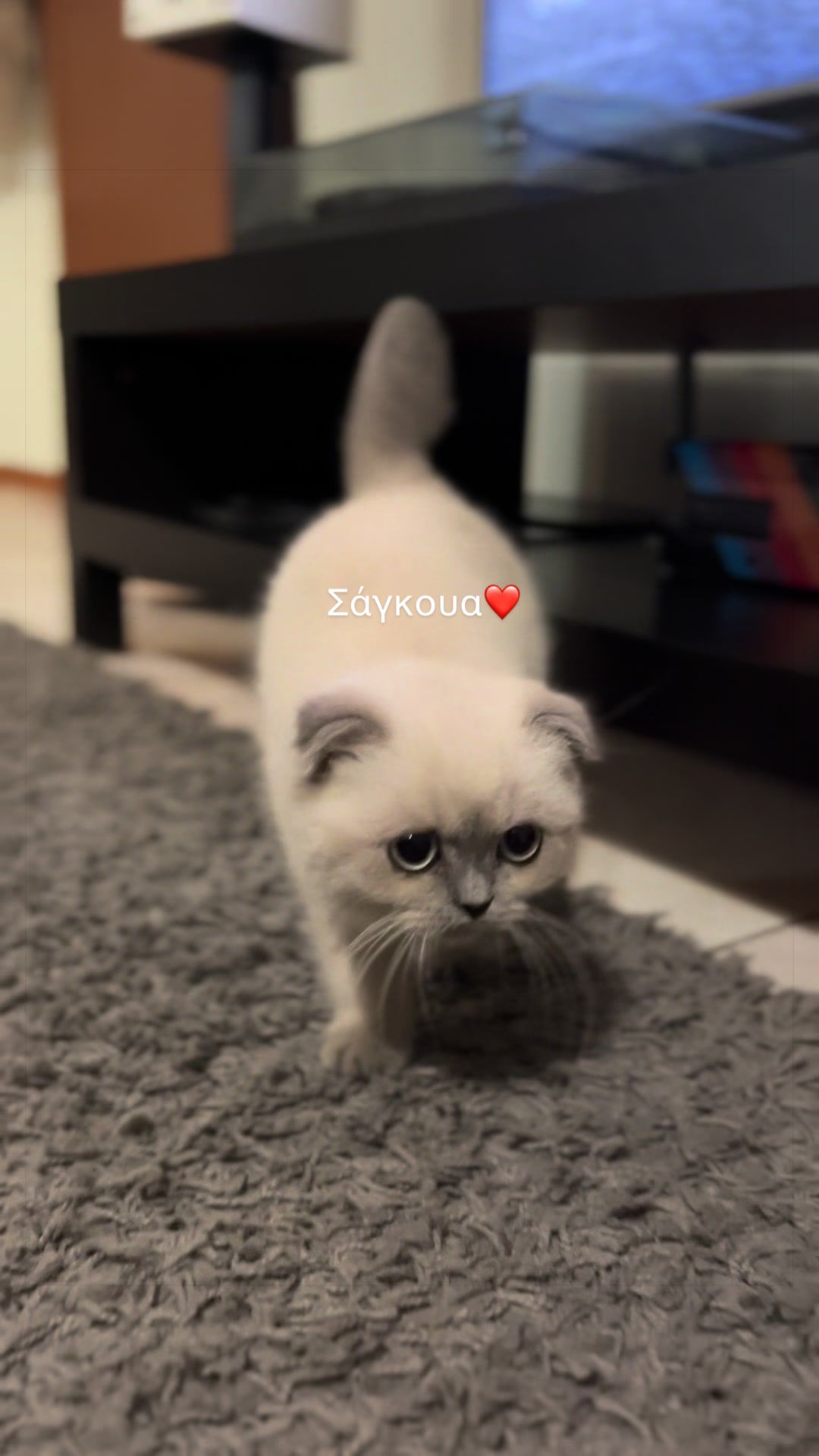 @Σοφία Περίδη