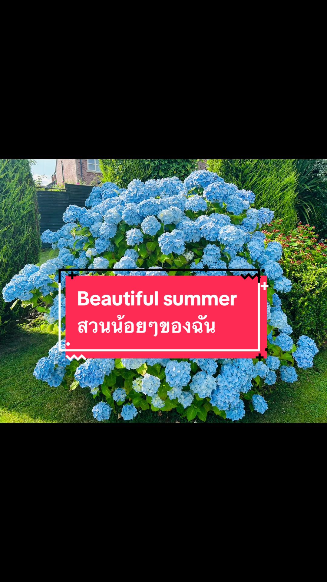 @Ann:)สาวไทยในไอร์แลนด์เหนือ