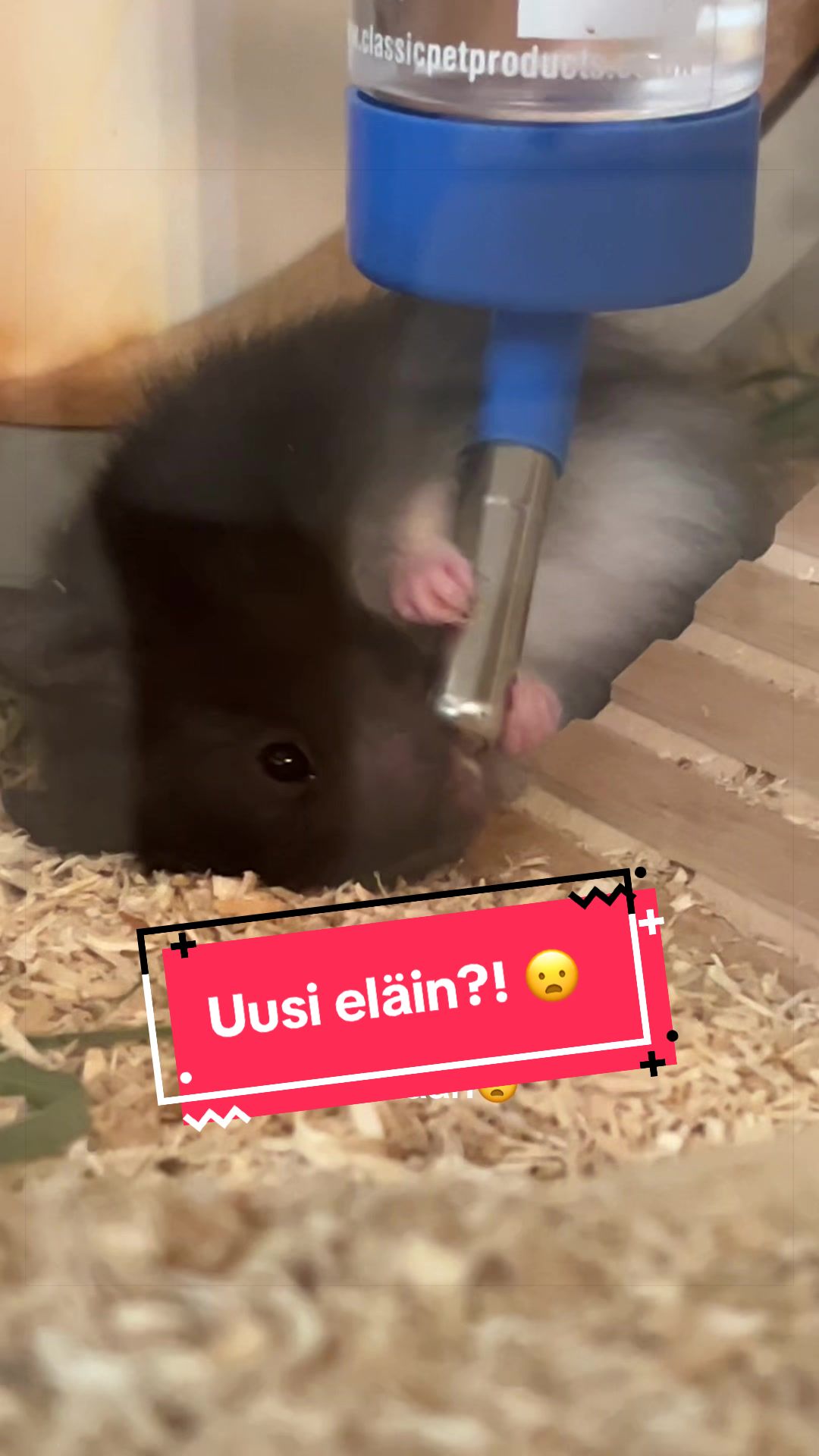 @jattahenriikka