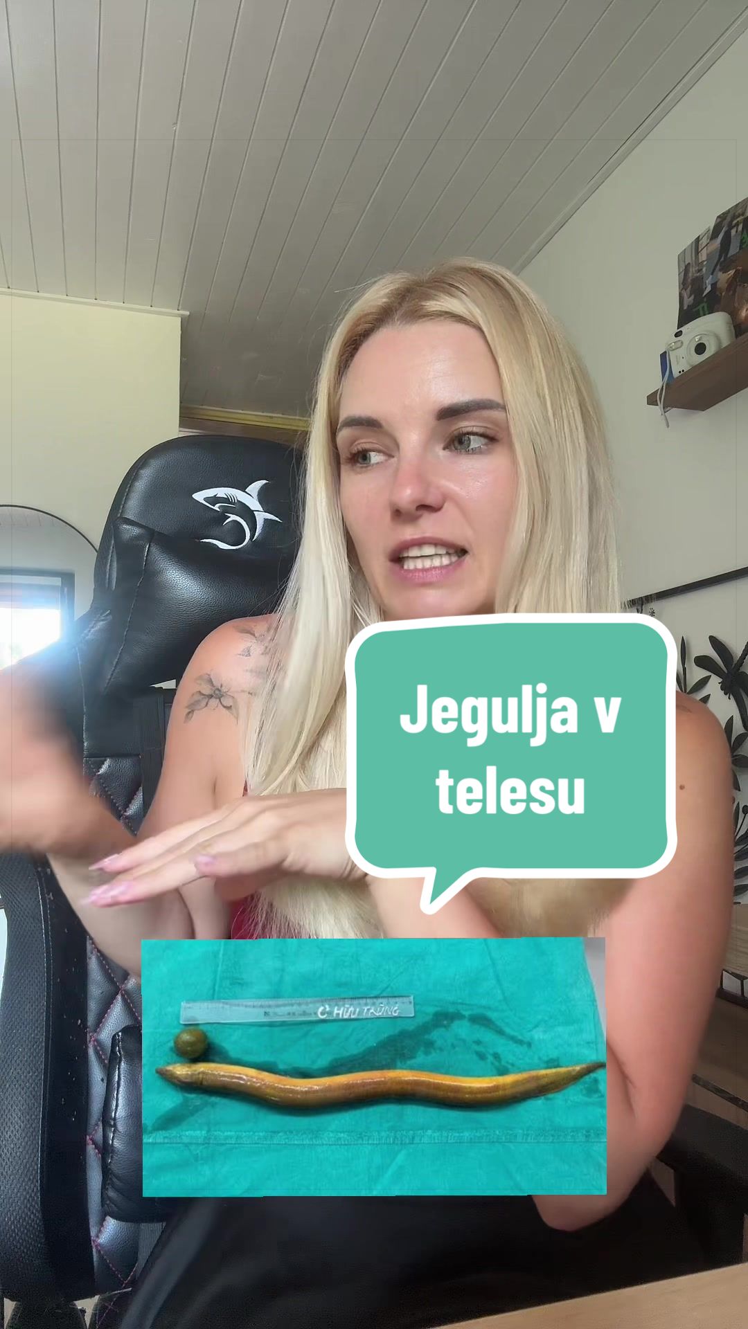 @Alenka Trogrlic