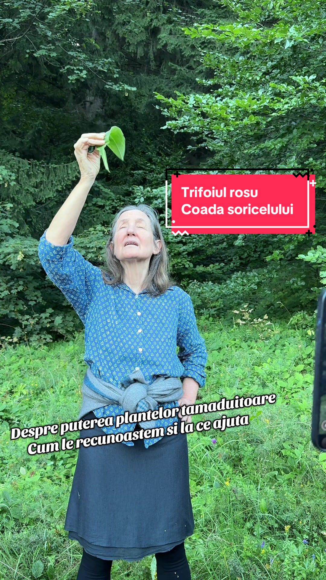 @Naturawl🌿