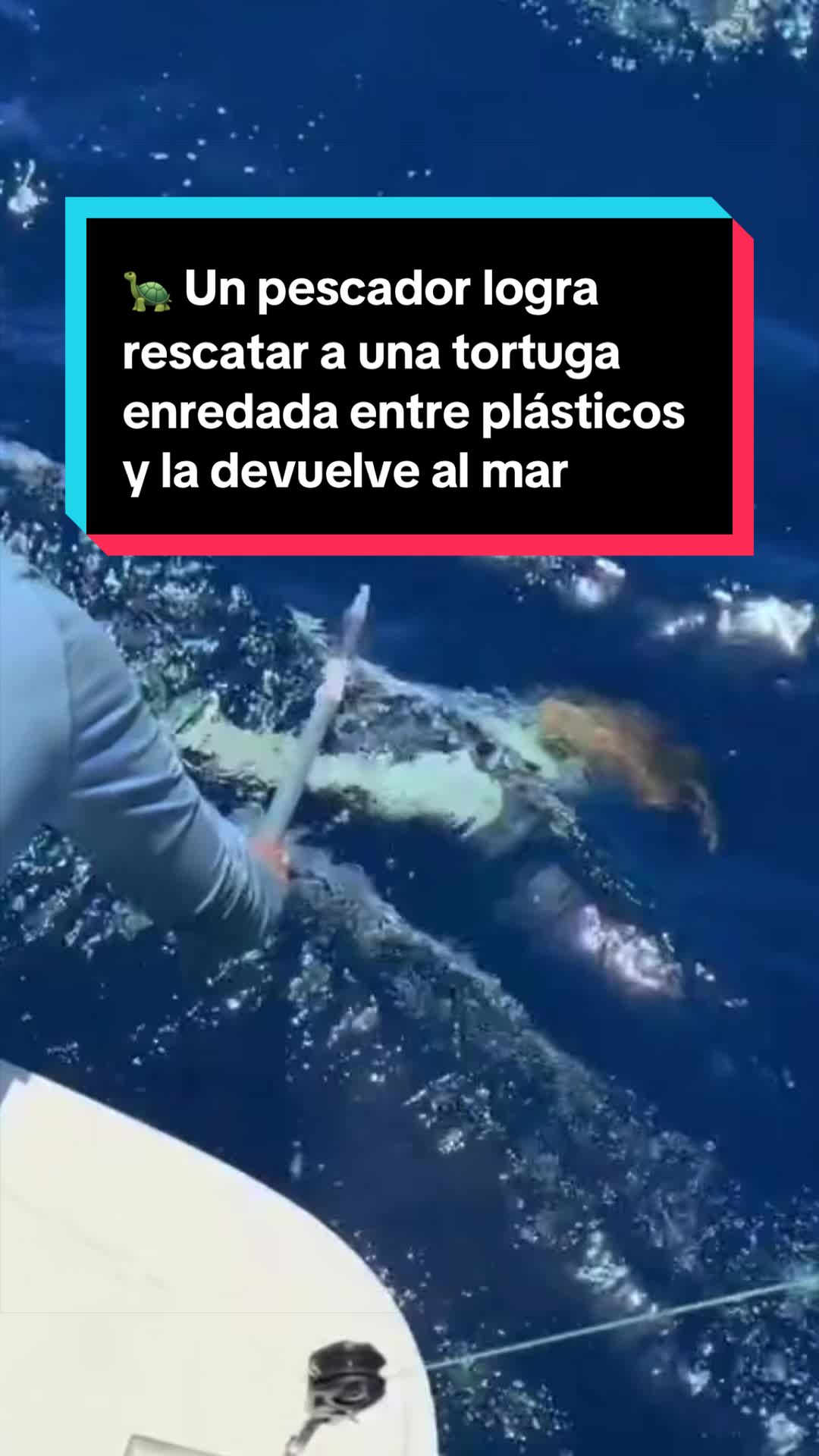 @EL ESPA&Ntilde;OL 🦁