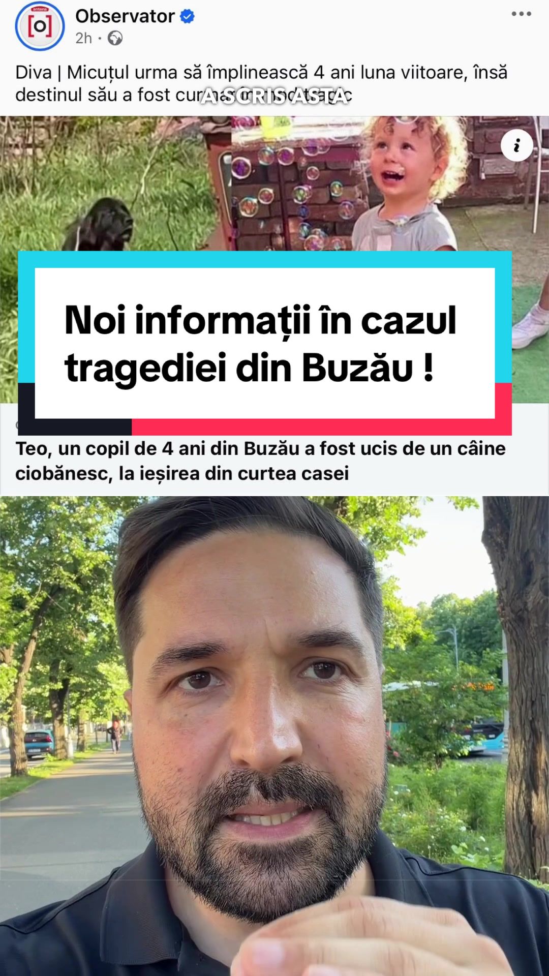 @Tudor-Tim Ionescu