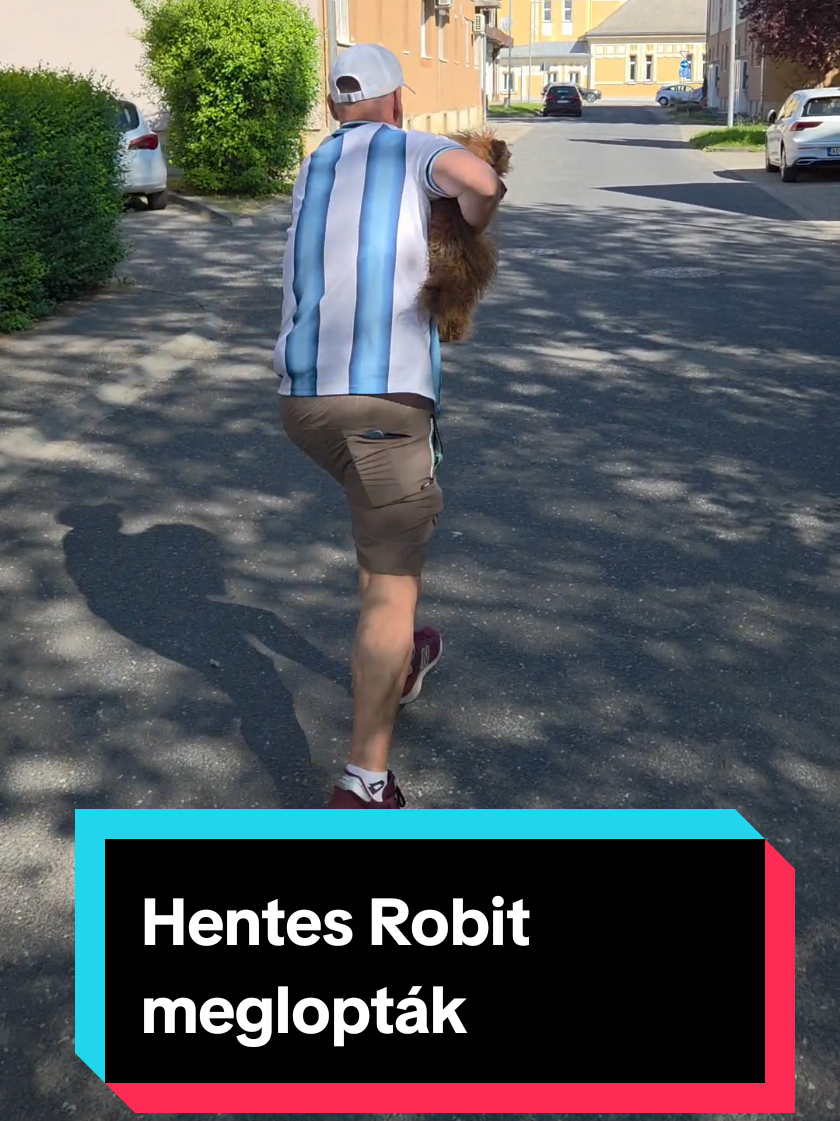 @HentesRobi