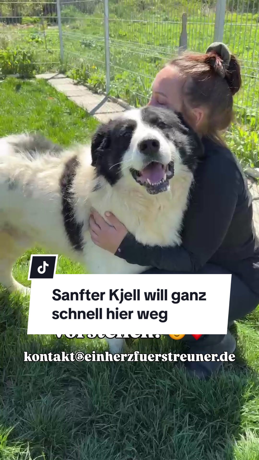 @Ein Herz für Streuner e.V.
