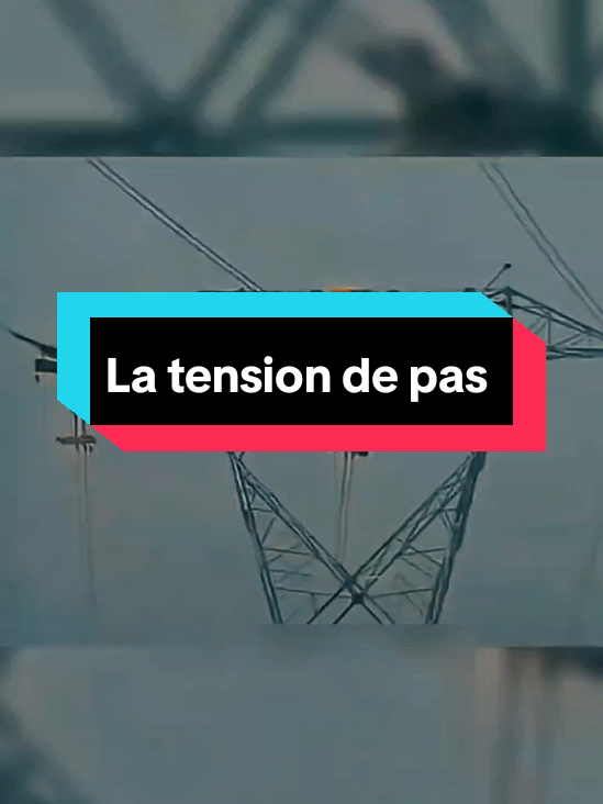 @BRICOLEUR DE FRANCE 👷