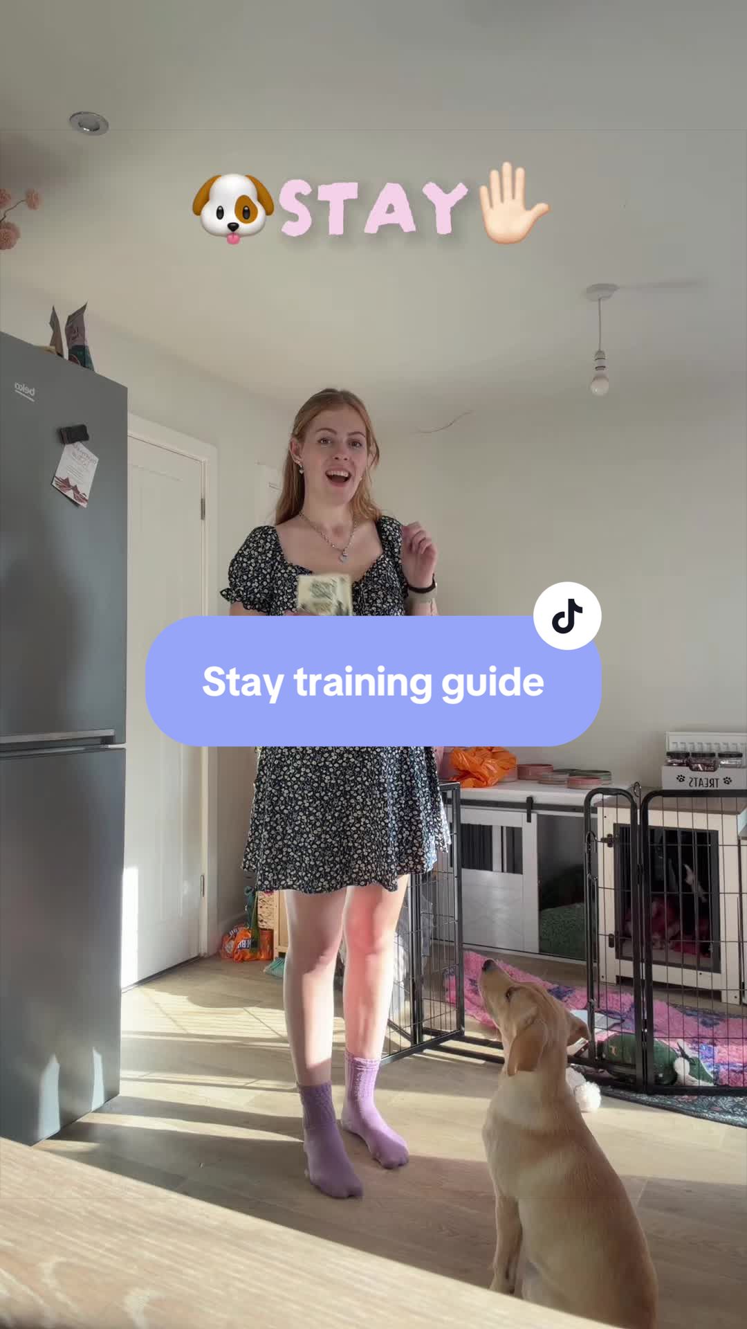 @Lily