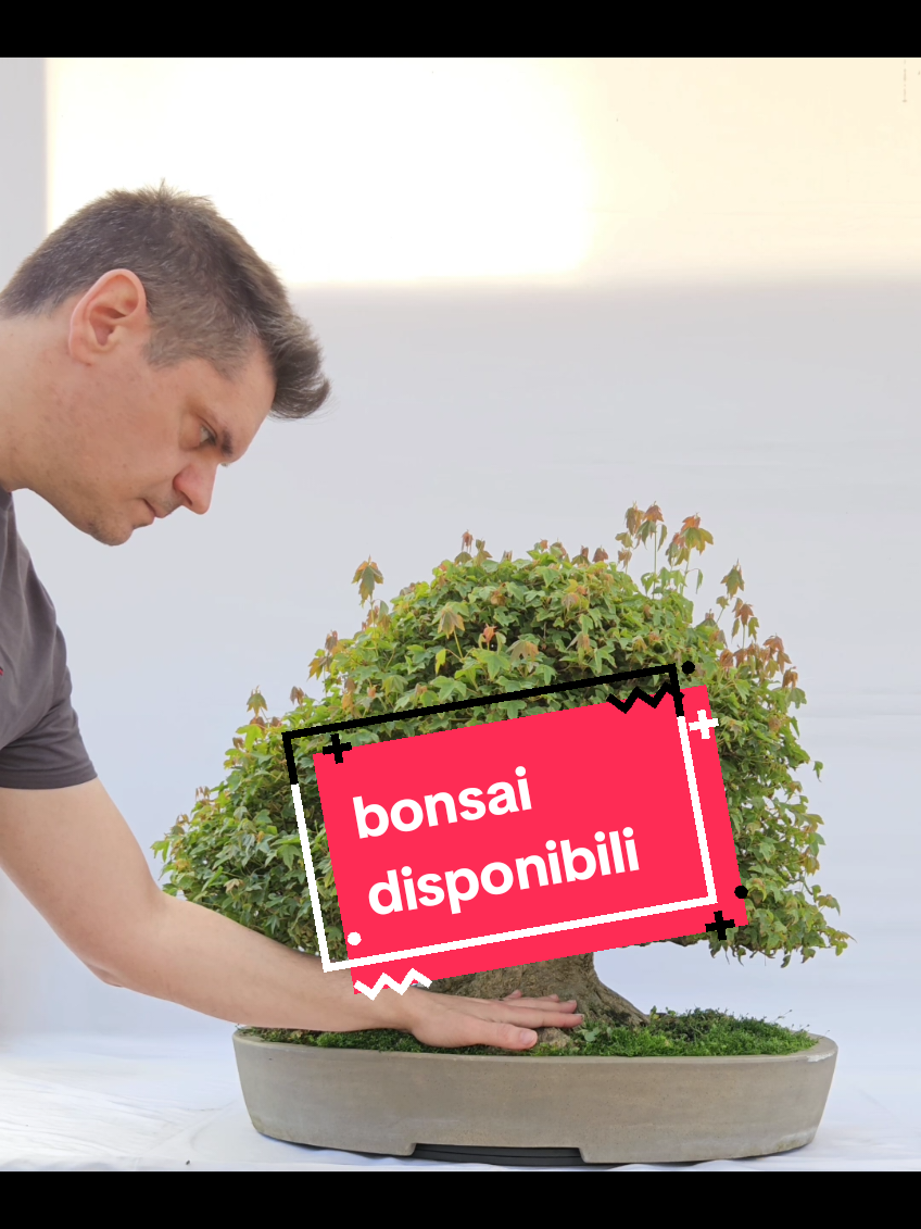 @BONS A.I.