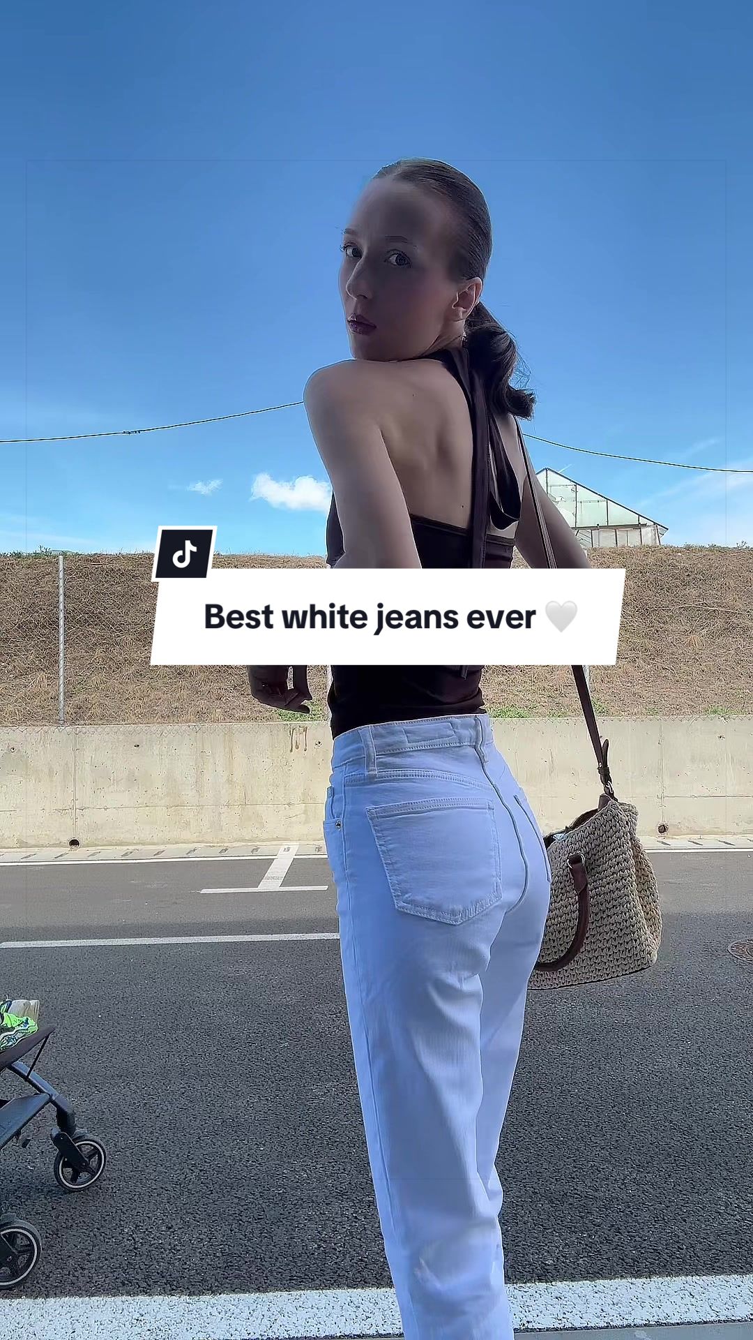 @Alina Joitescu