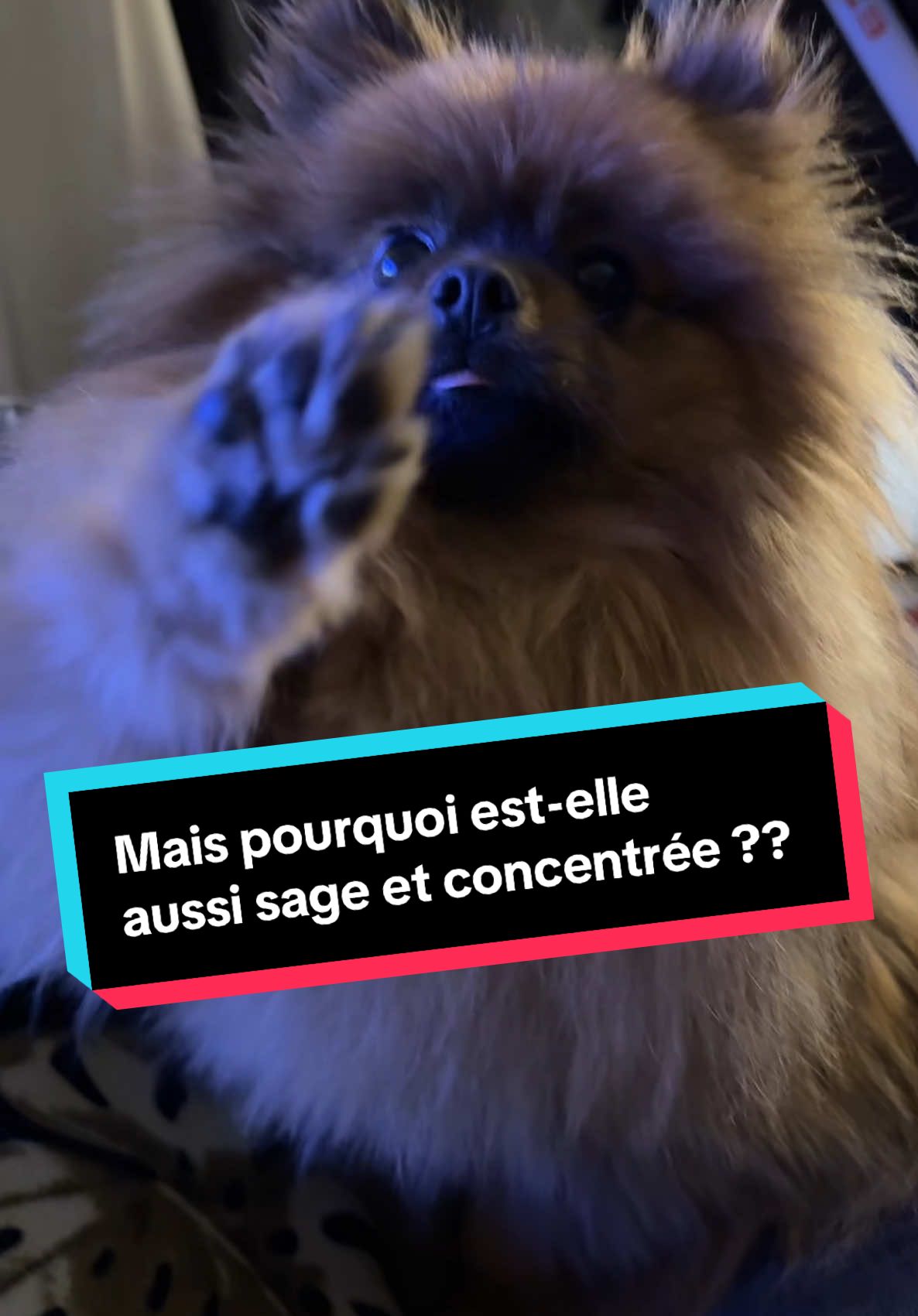 @Magicantoine