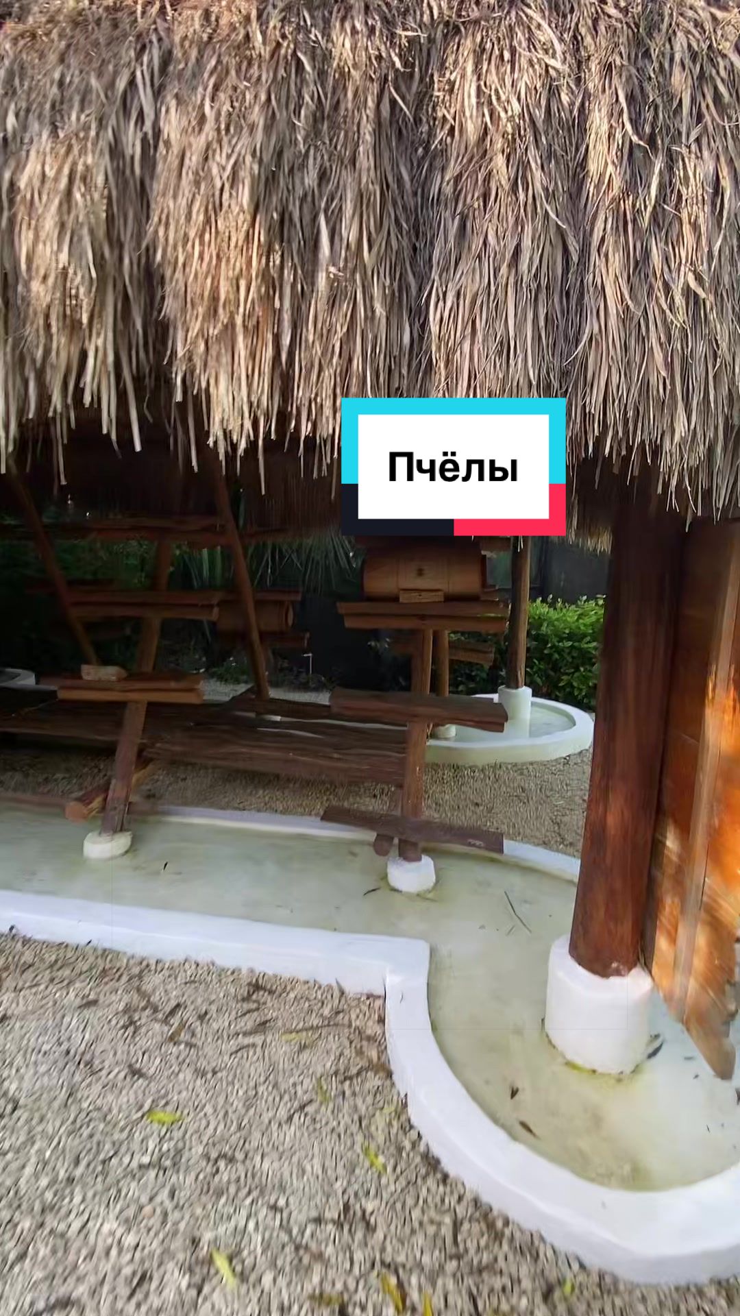 @Алёна_феникс