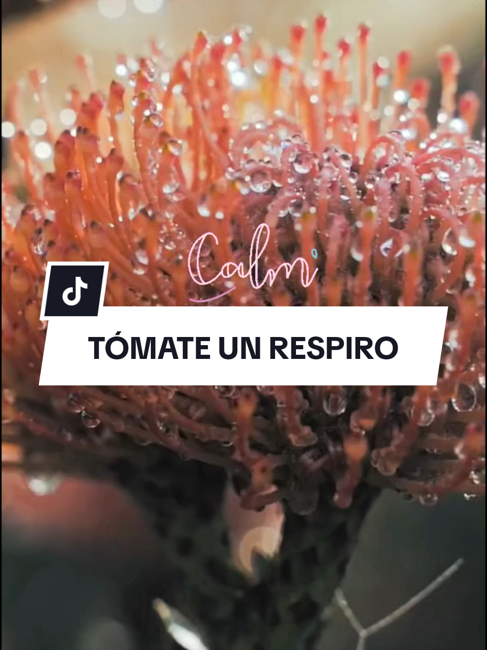 @Espacio para la calma