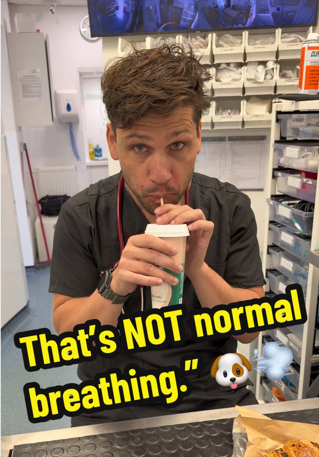 @Tomasthevet