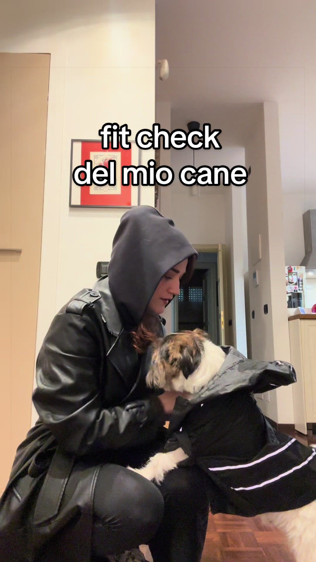 @momusso