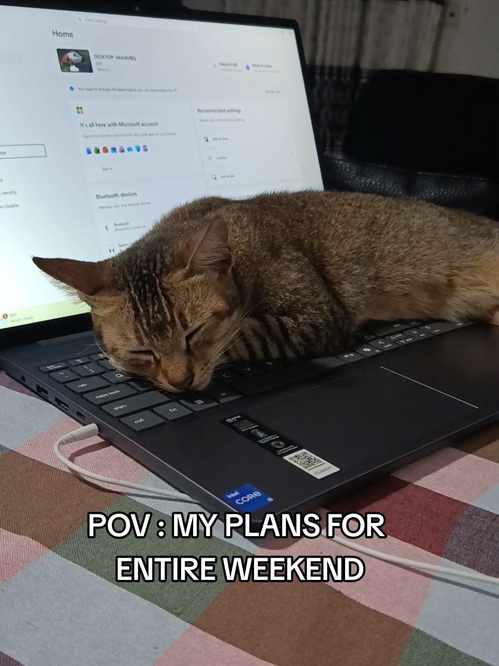 @DailyDoseOfKittyUK