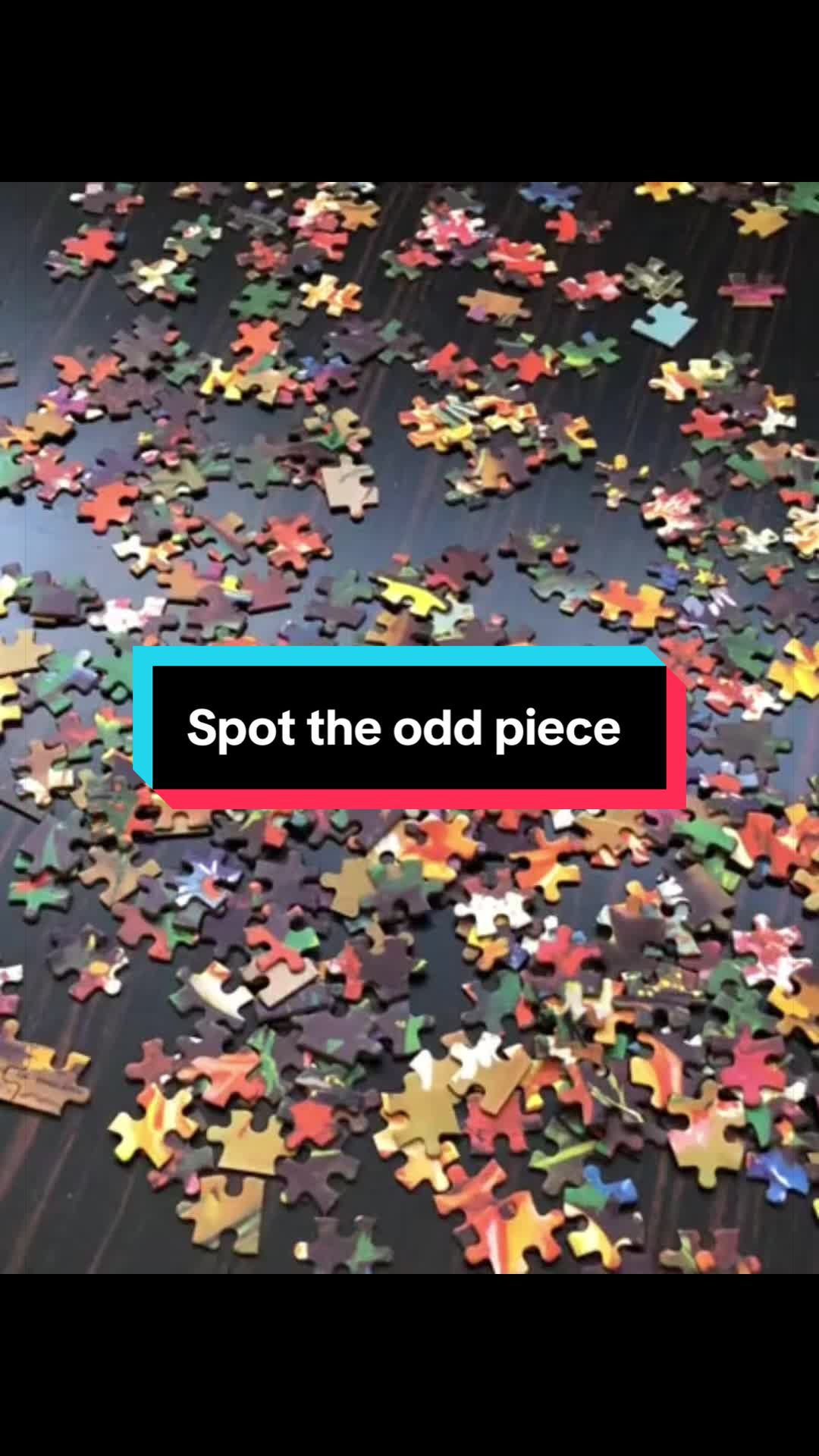 @Shirley 🧩