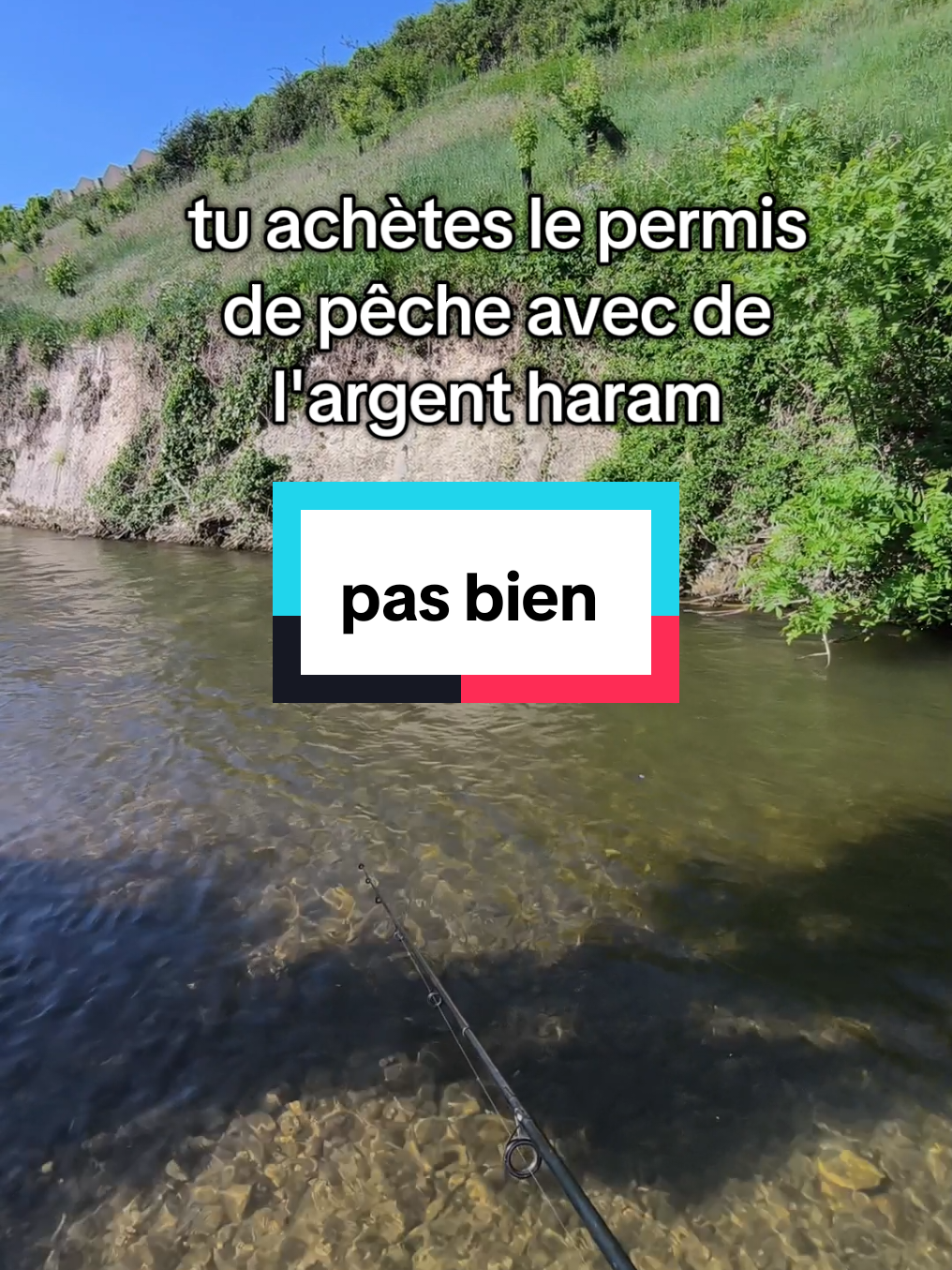 @flowfish