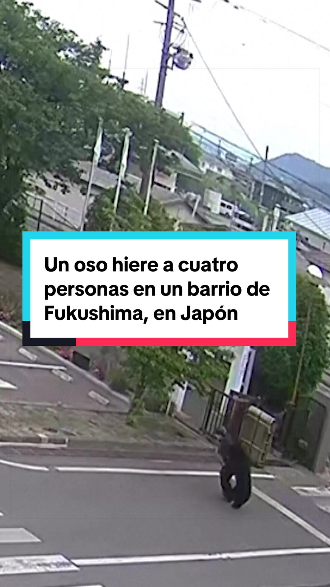@El País